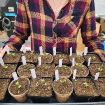 Flora, farm owner at Flora Aeroponica