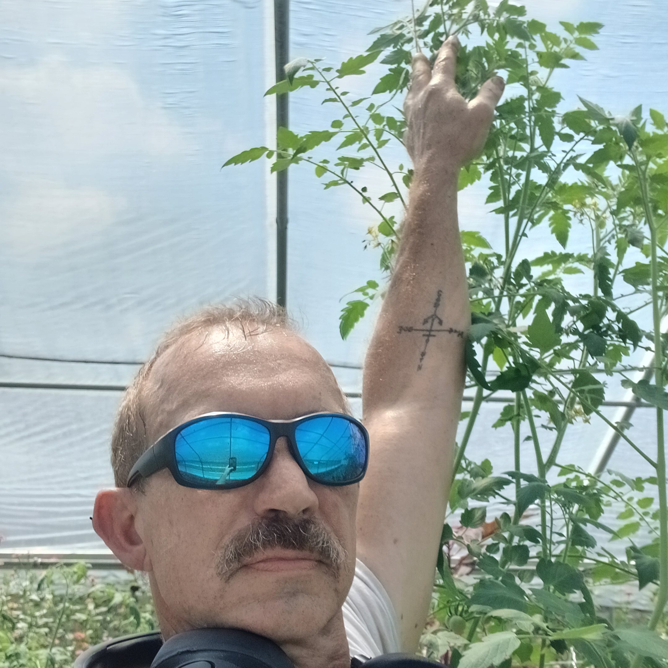 Steve Wilinski, farm owner at Trinity farms