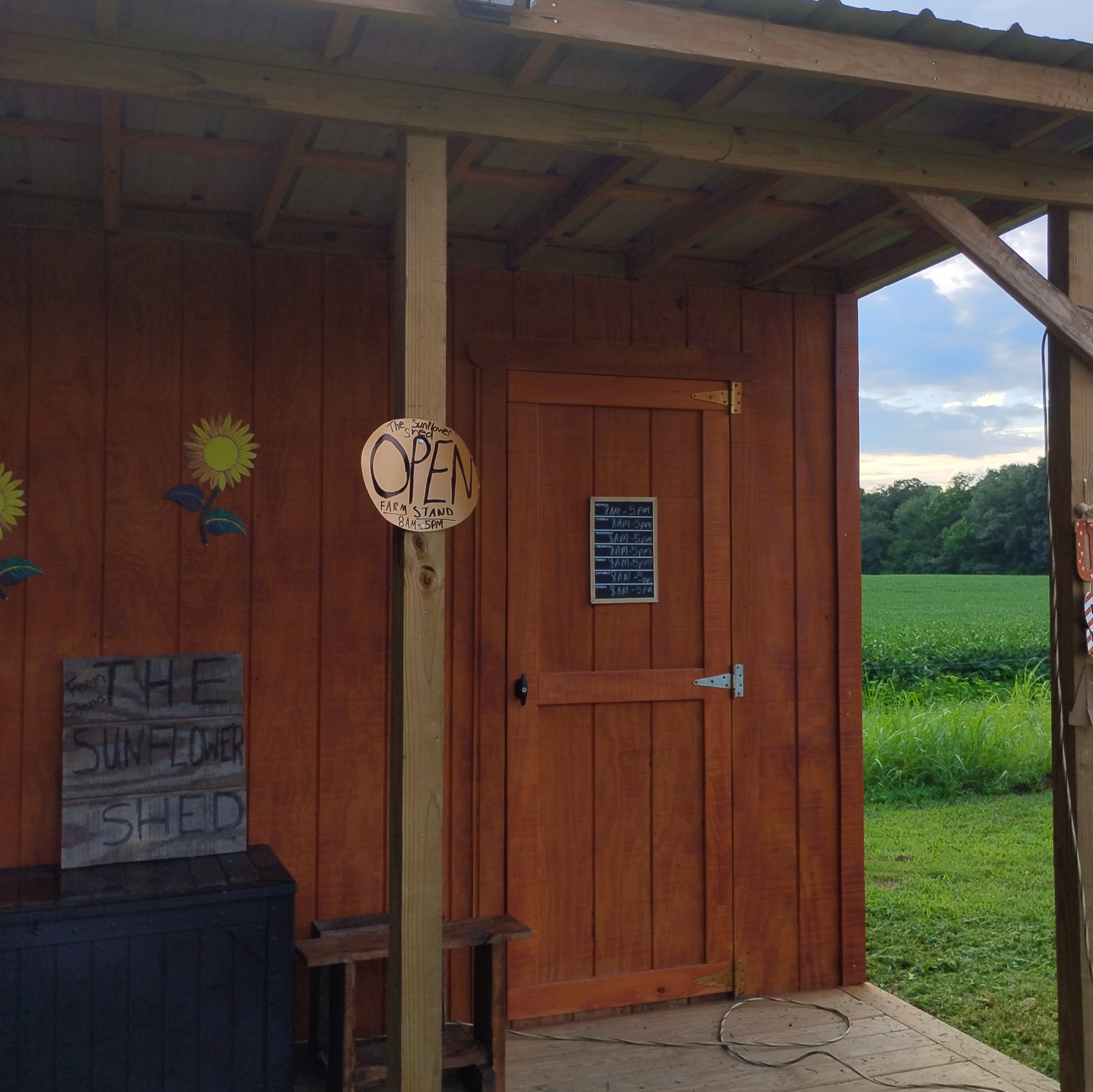 Kirstie, farm owner at The Sunflower Shed