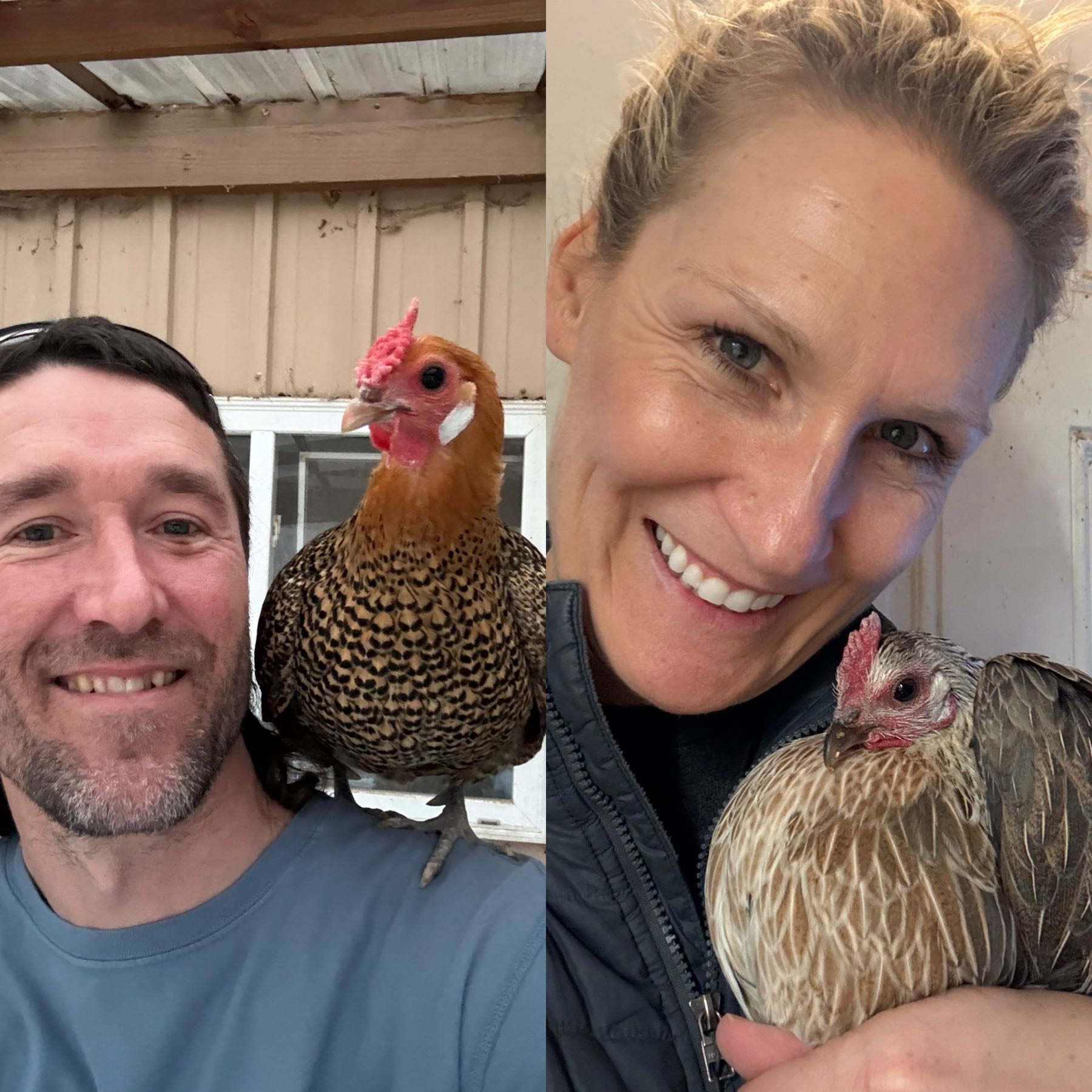Lisa, farm owner at The Hunter n His Hens