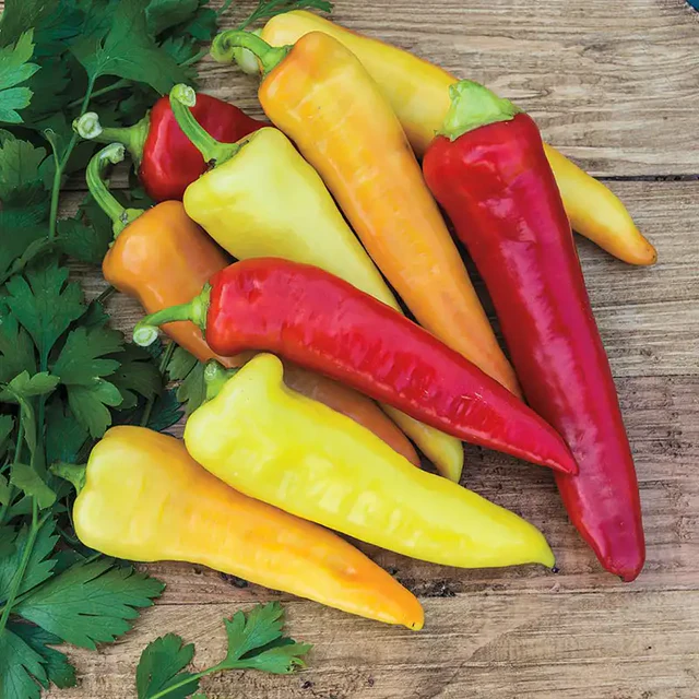 Heirloom Pepper Mix ~1.5 Lbs