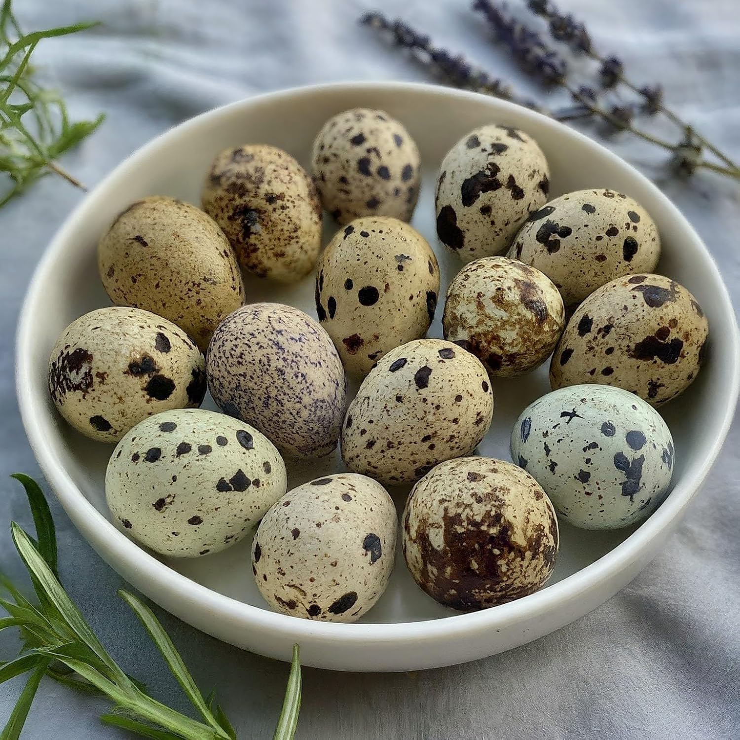 Quail Eggs - 18 Count
