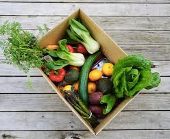 Seasonal Veggie Box - Small ~5 Lbs