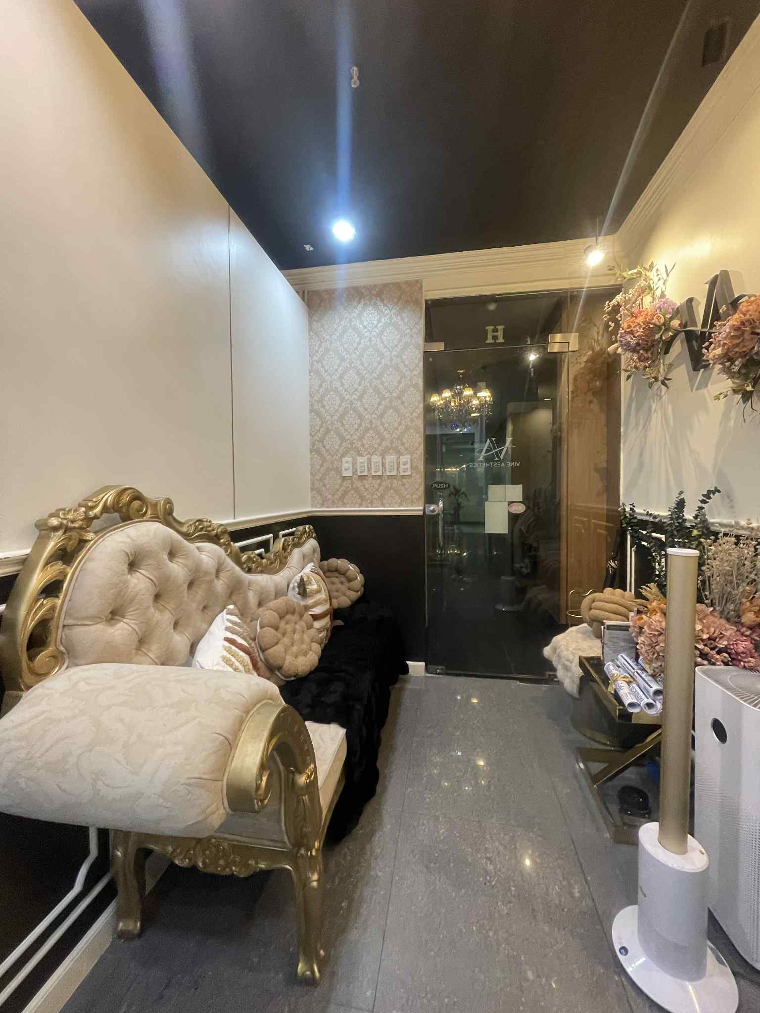 Vine Aesthetics BGC Gallery 2
