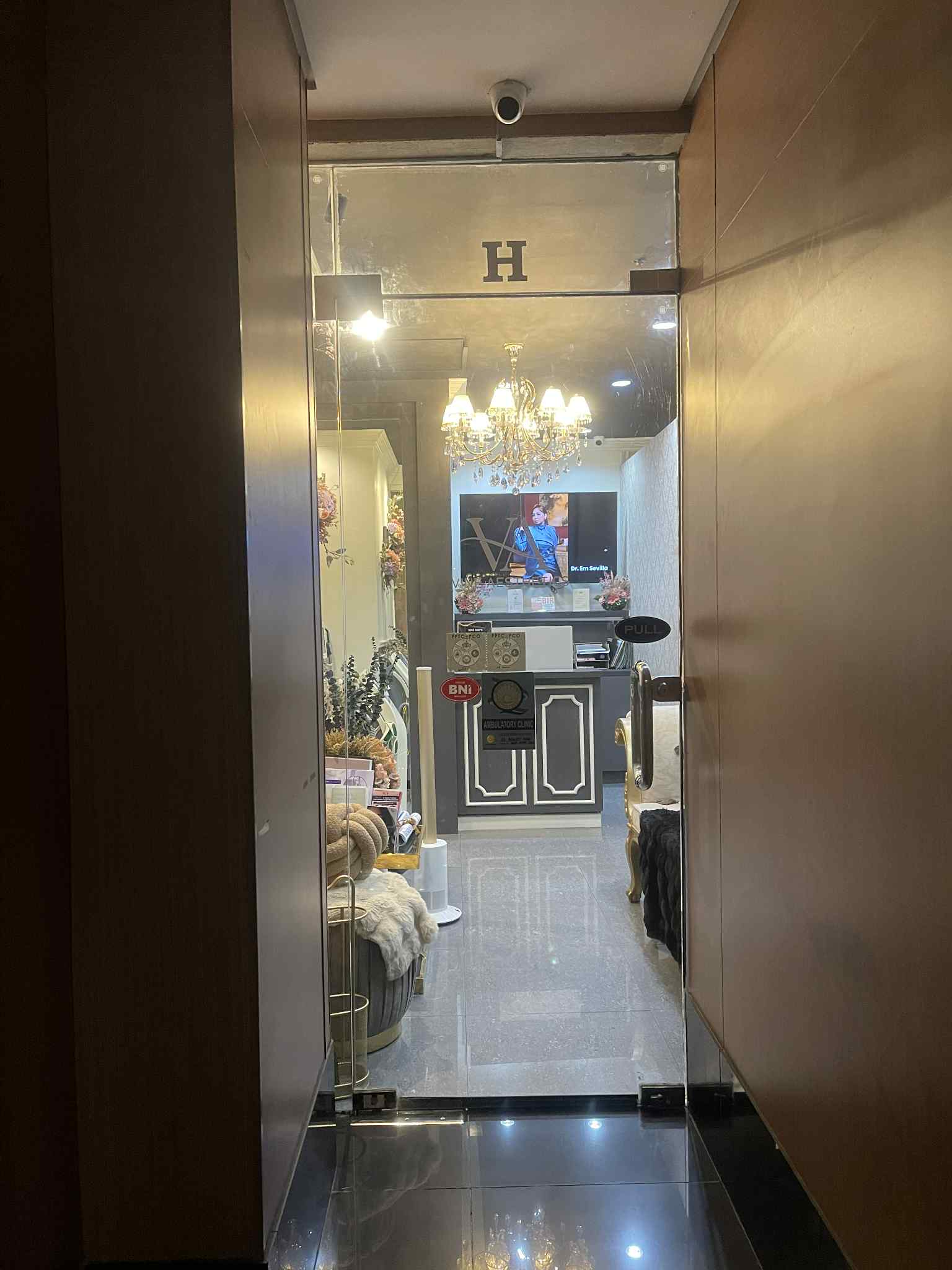 Vine Aesthetics BGC Gallery 1