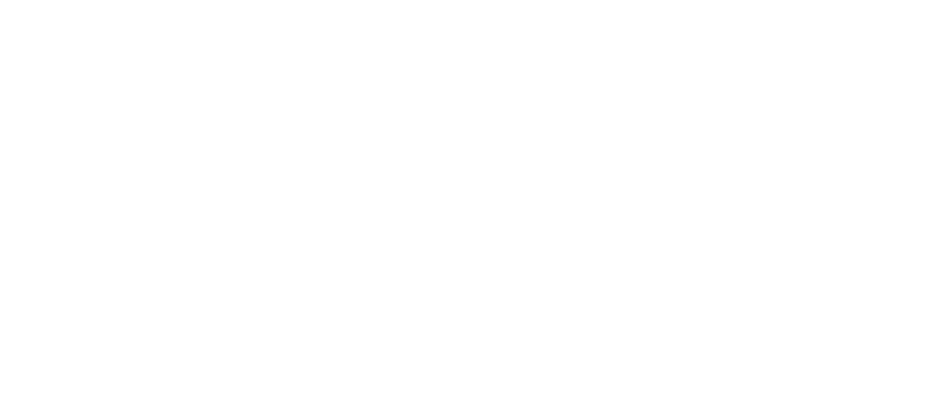 The full Local Vineyard Logo. Links back to the homepage.