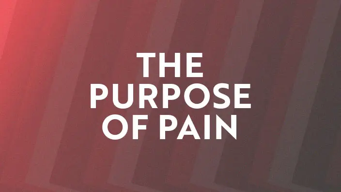 Graphic for the The Purpose of Pain series
