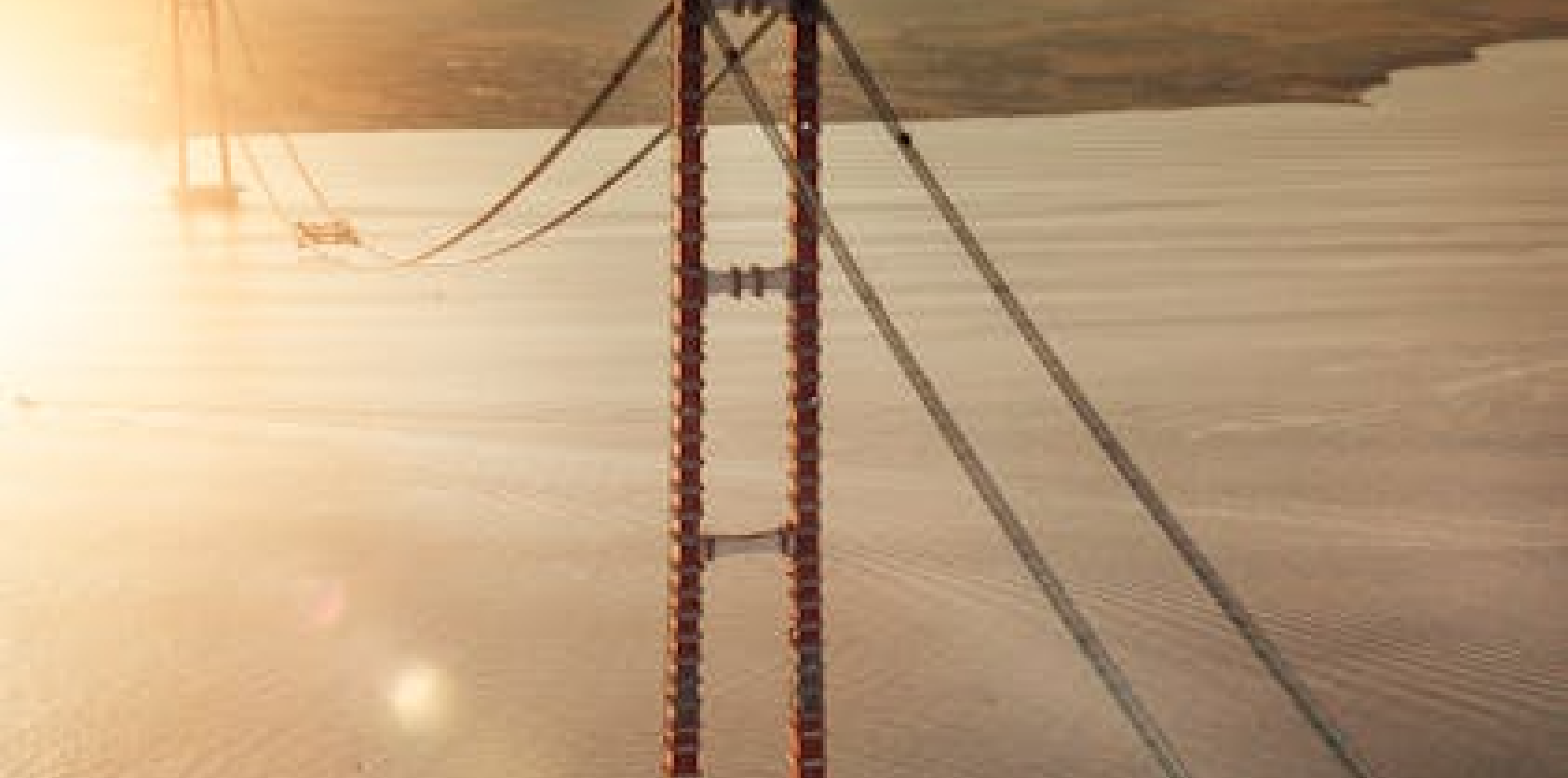 Building Bridges | Professional Networking Event