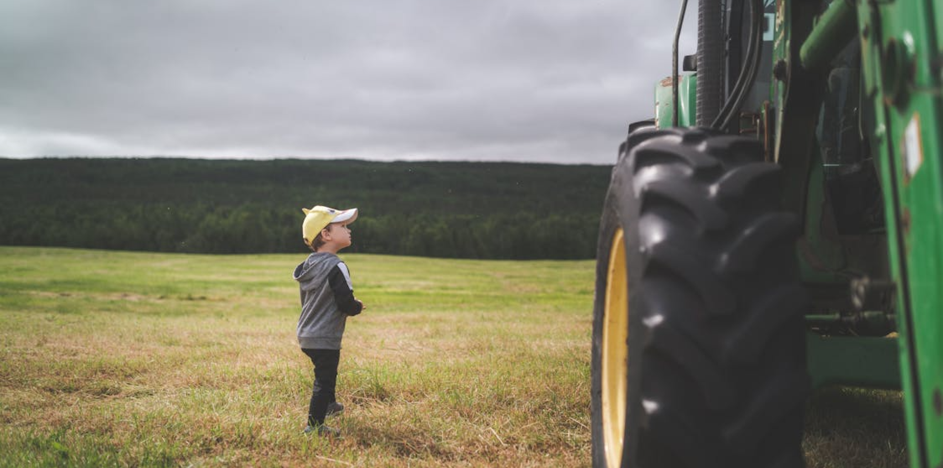 Adventures on Old MacDonald's Farm