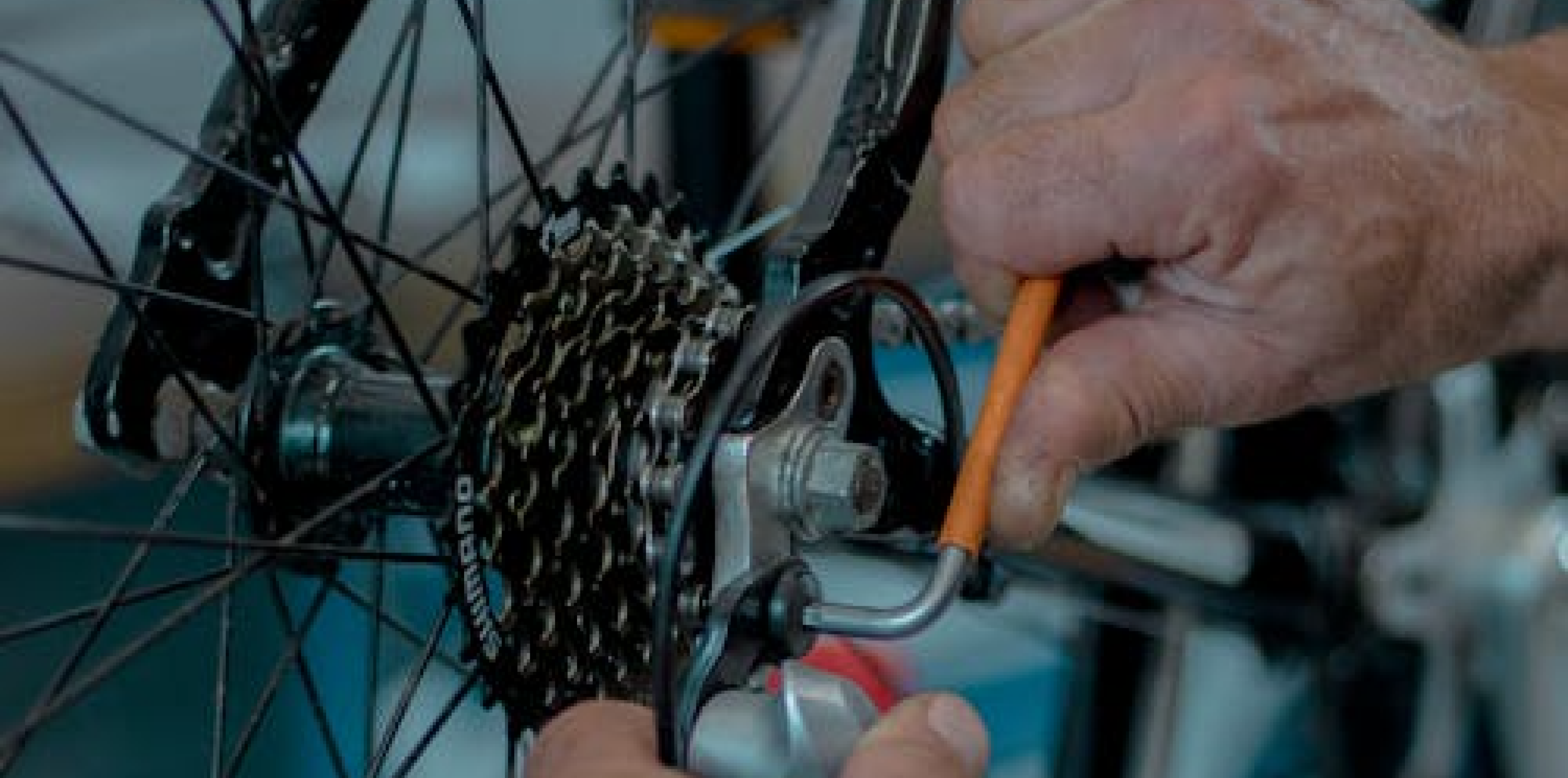 Free Mechanic Service | Fairview Park