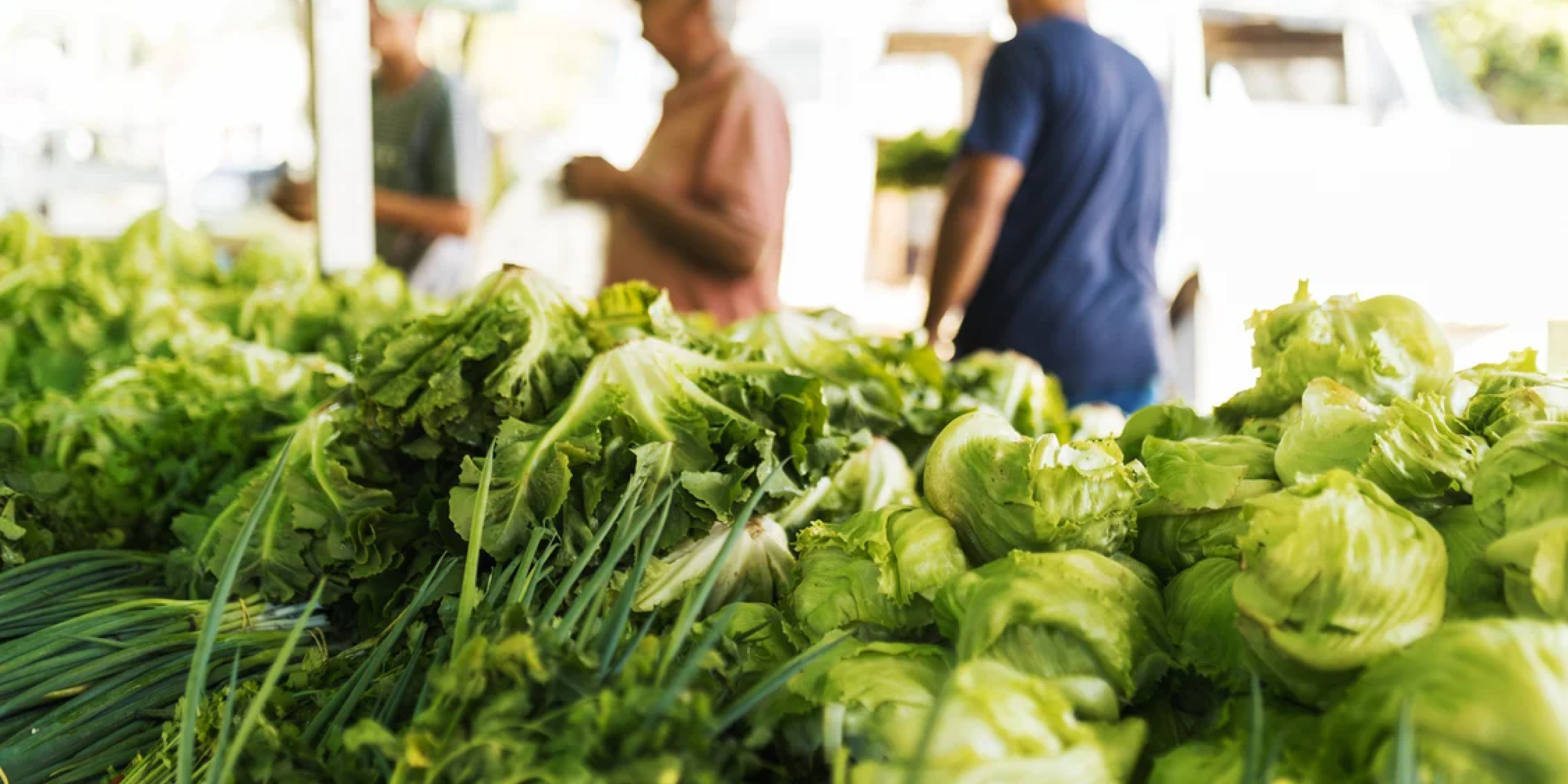 Farmer's Market