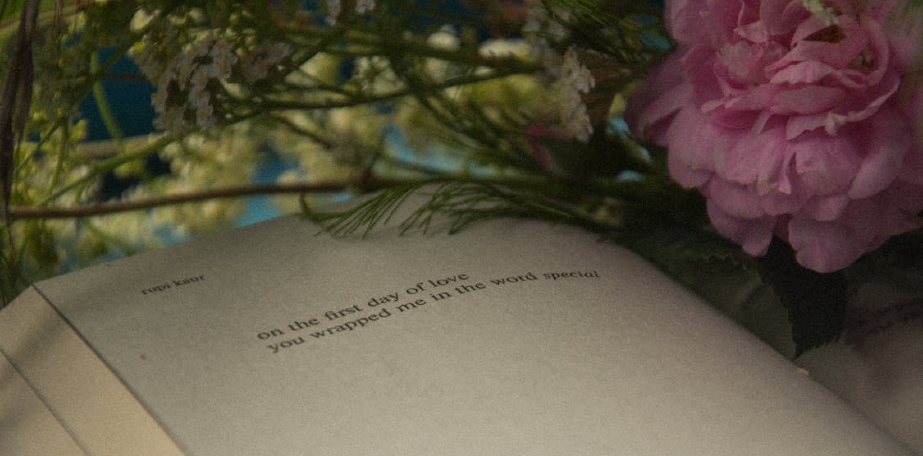 Poetry S.O.S.