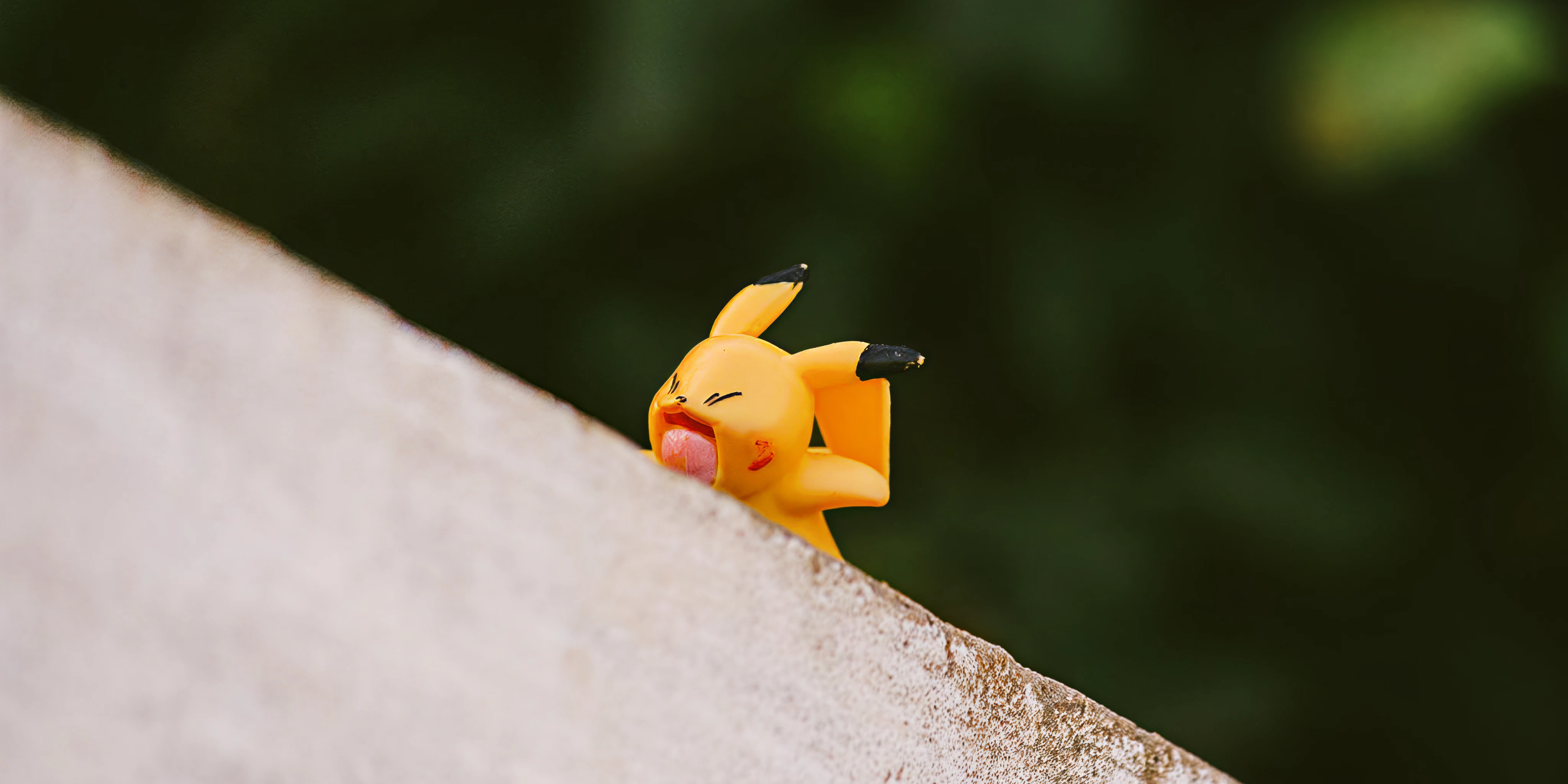 Pokemon Fan Club