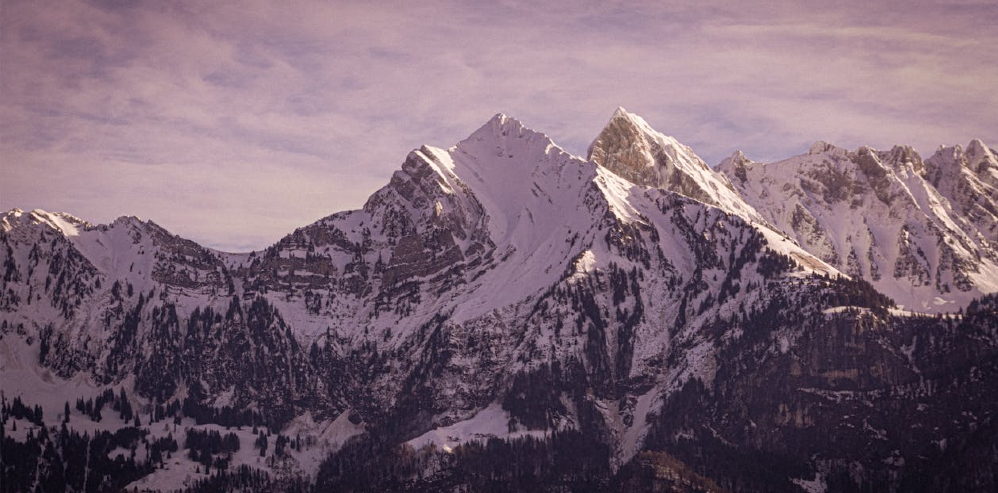 ALPINE SKIES