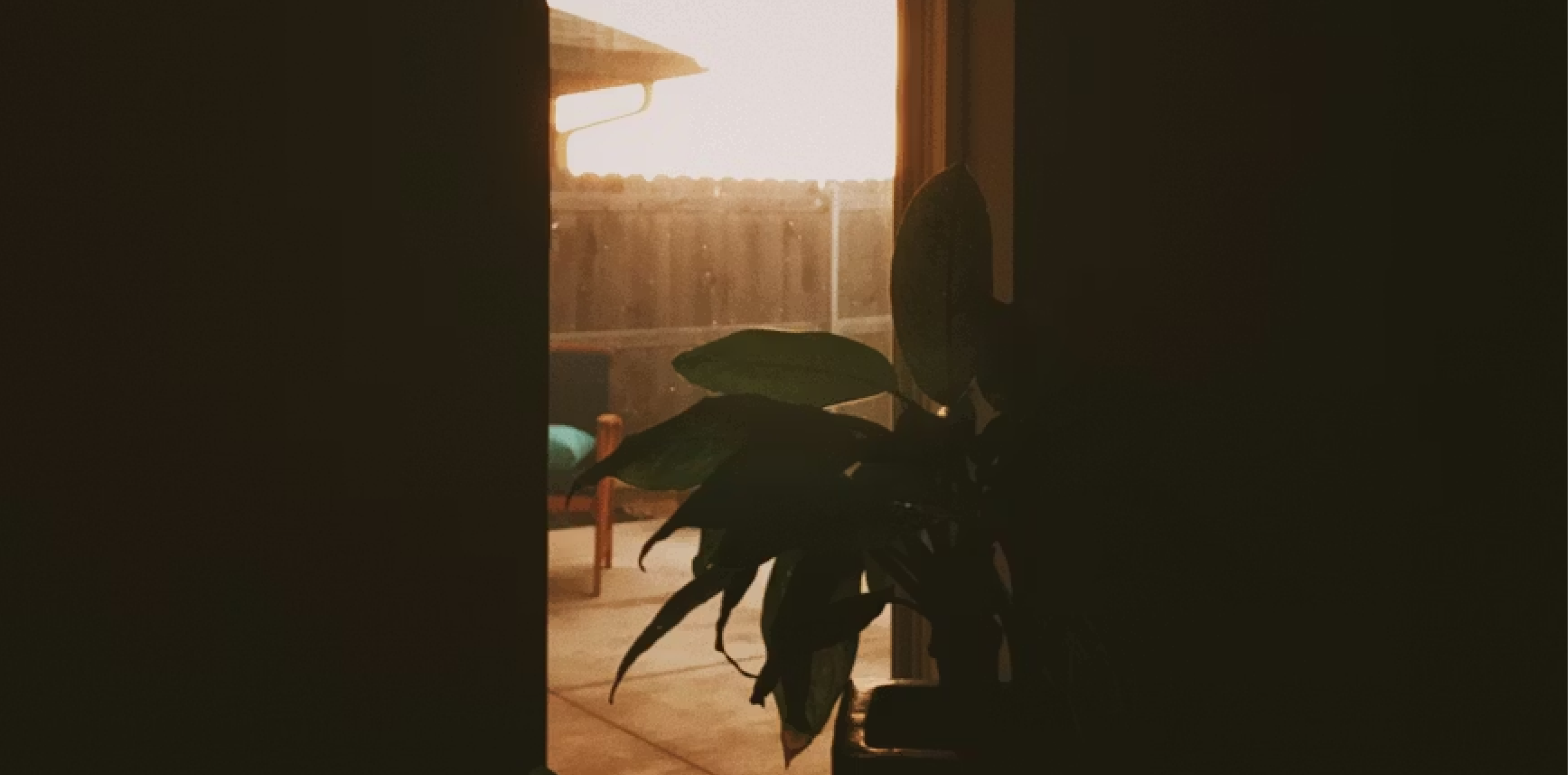 Yoga & Meditation at the Gallery