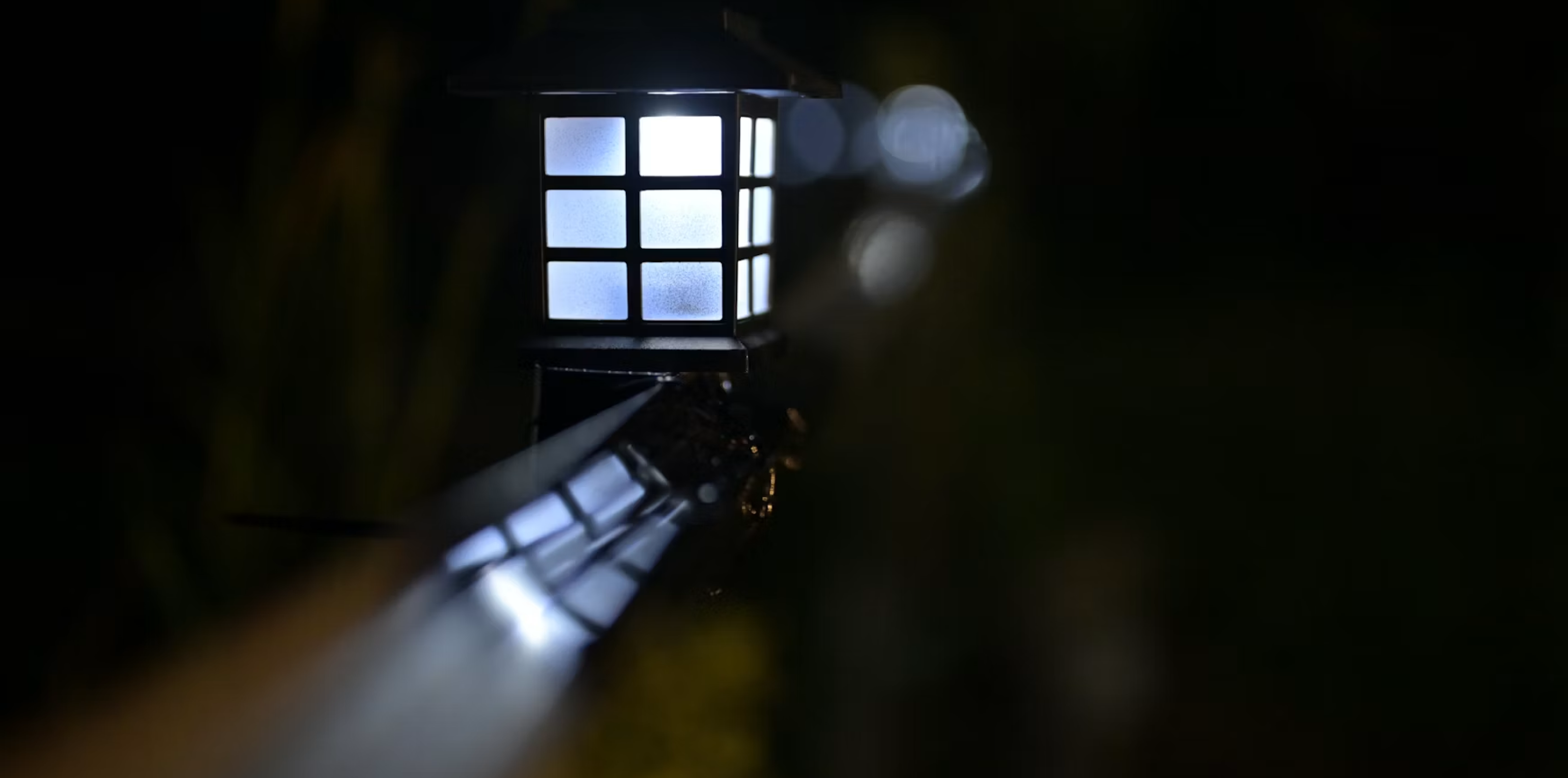 In the Night Garden