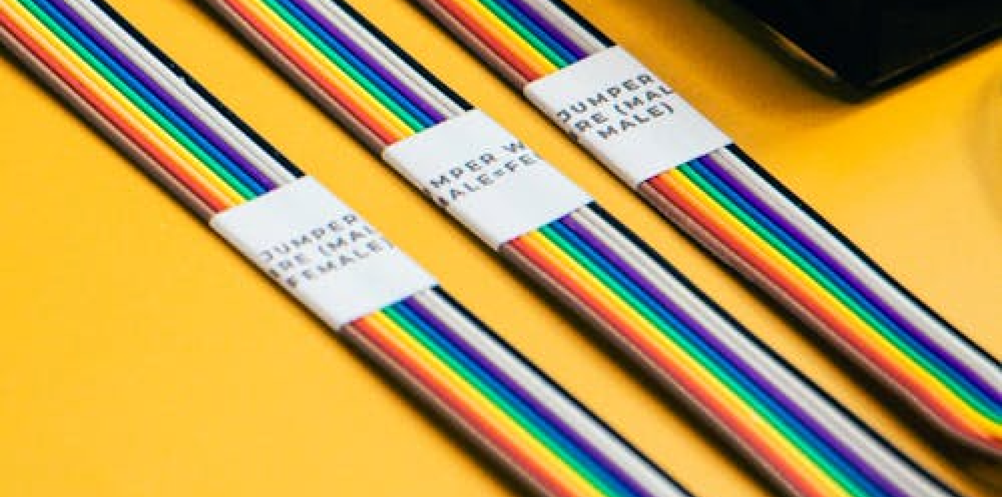 Wired | A Neuro-Friendly Club Night