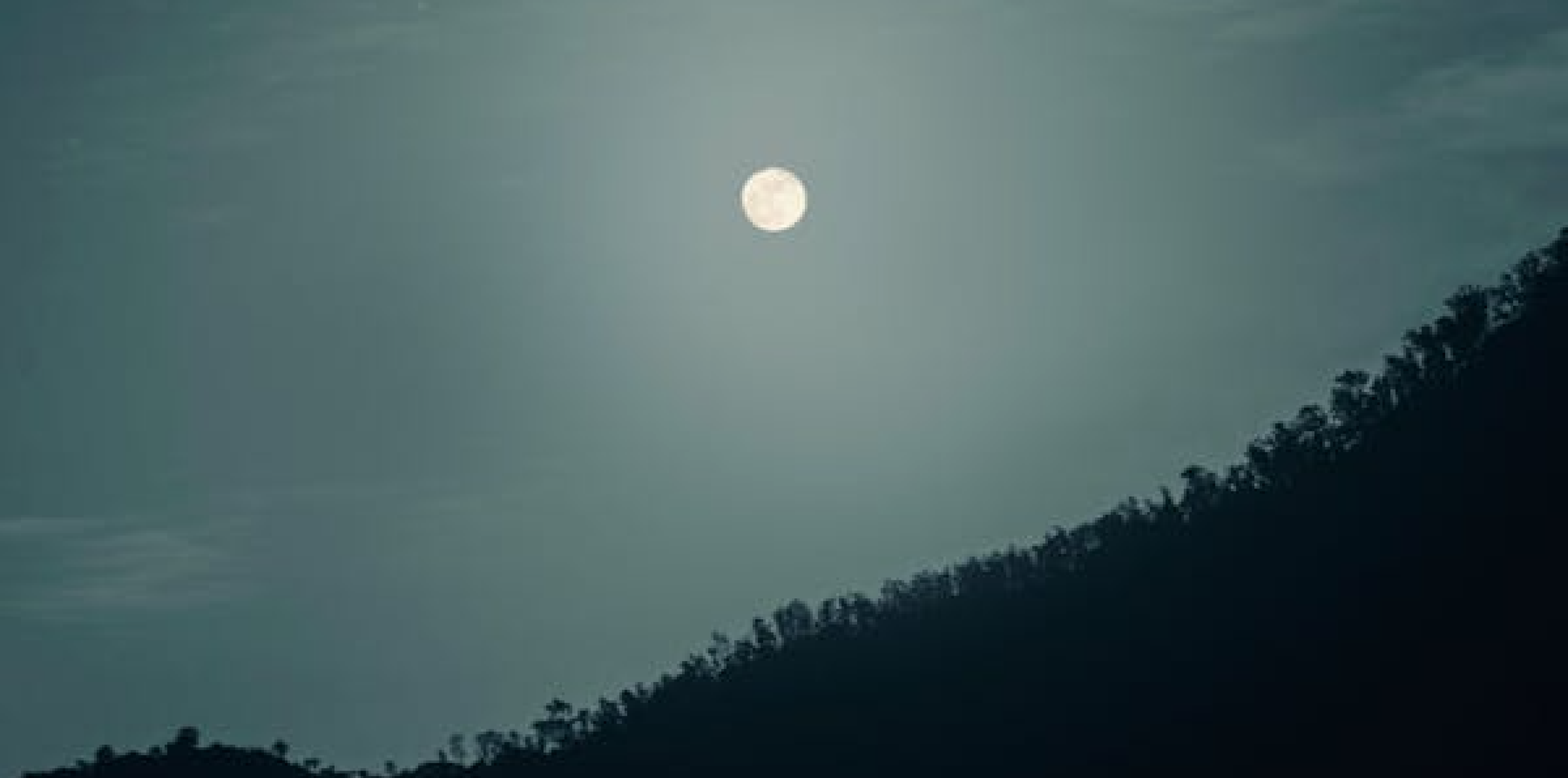 Moonlight | The Philip Lynott Enigma