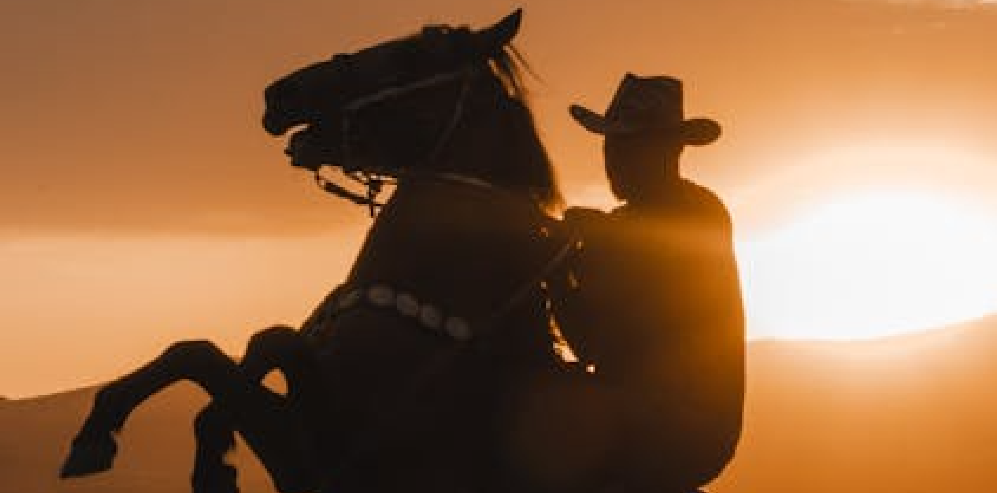 ROBERT FINLEY