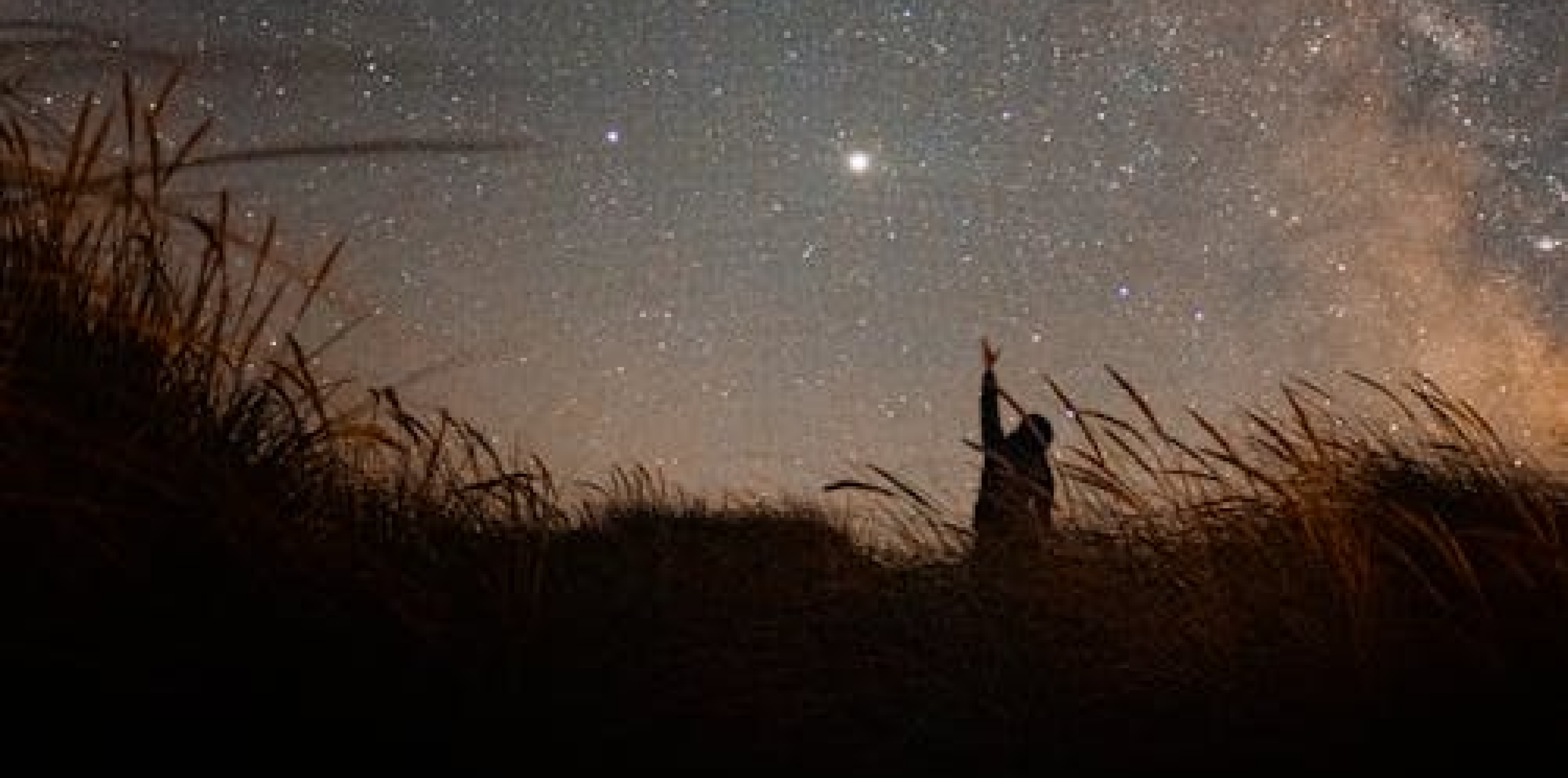 Reach for the Stars