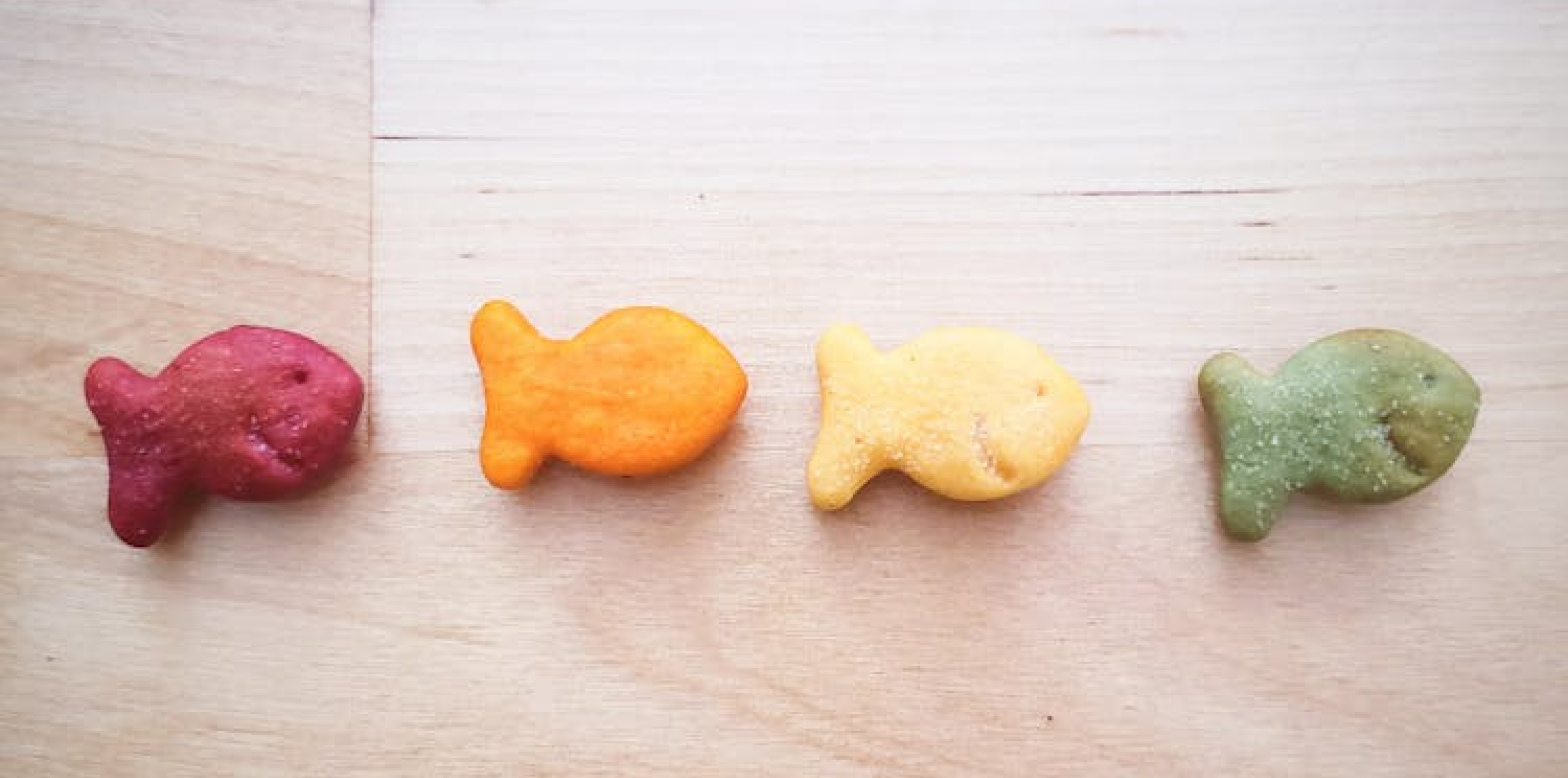 Philip Ardagh’s Animal Crackers!