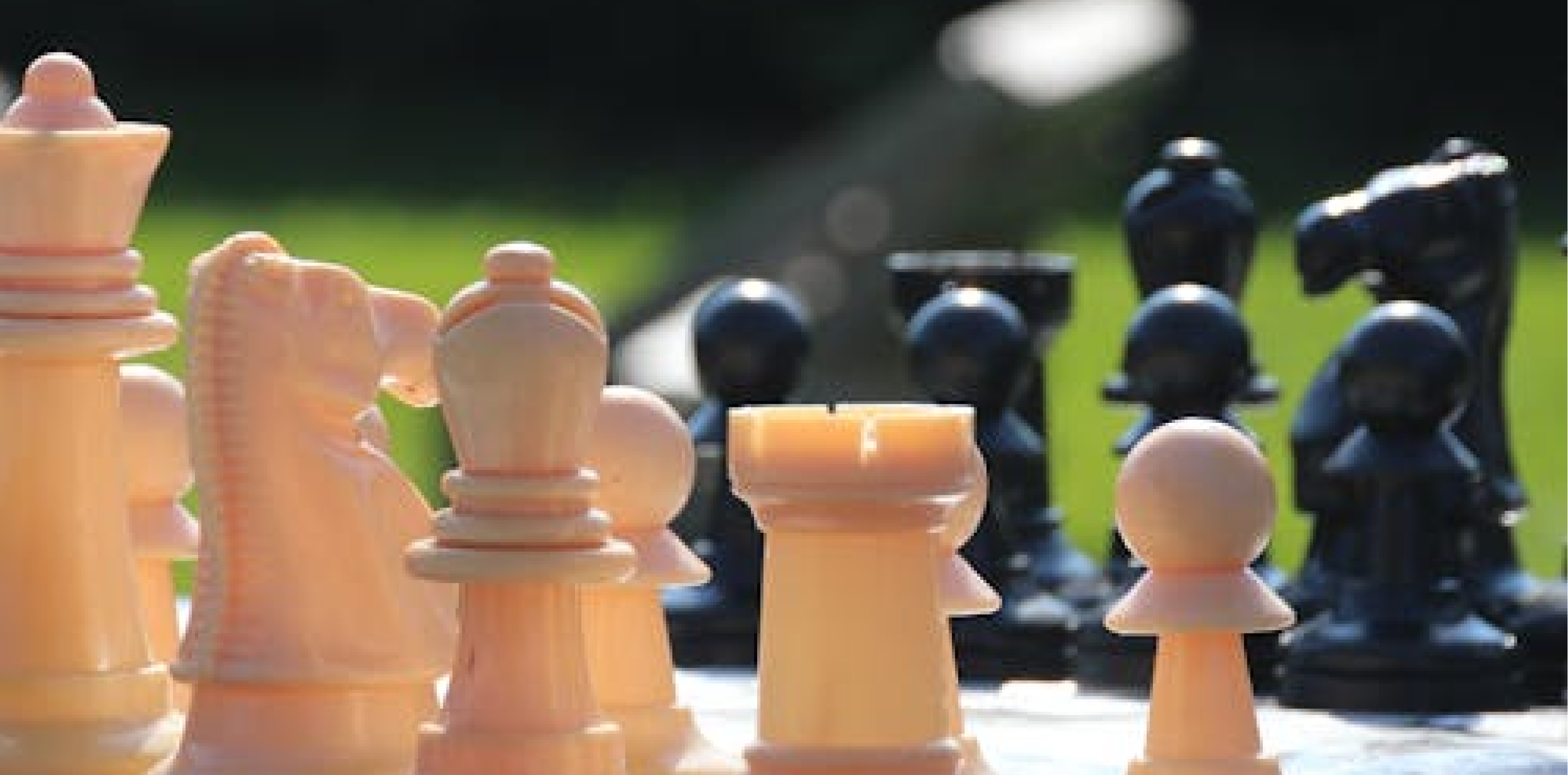 Chess for Adults