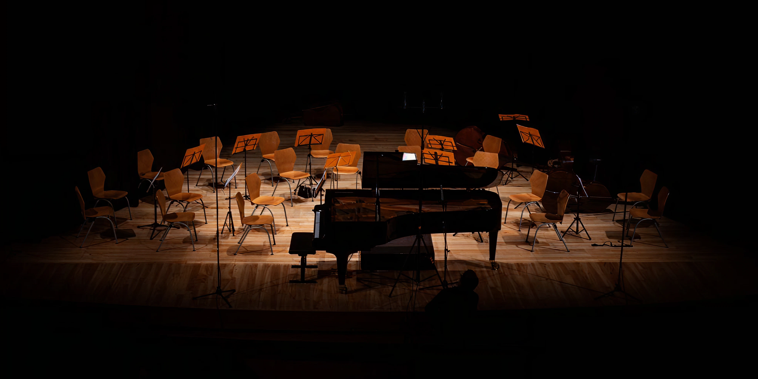 Hibernian Orchestra | Summer Gala Concert