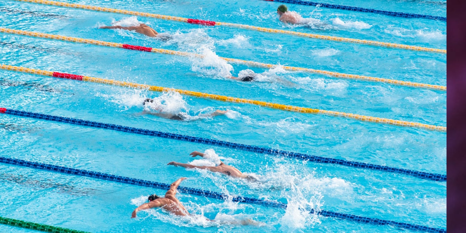 LGBTQ SWIMMING LESSONS RATHMINES