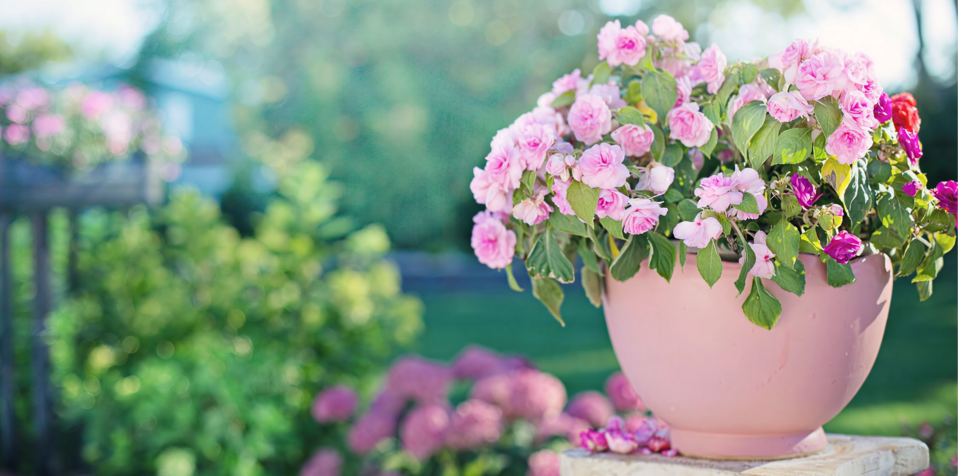 Summer Sundays in the Garden | Headfort Arms Hotel