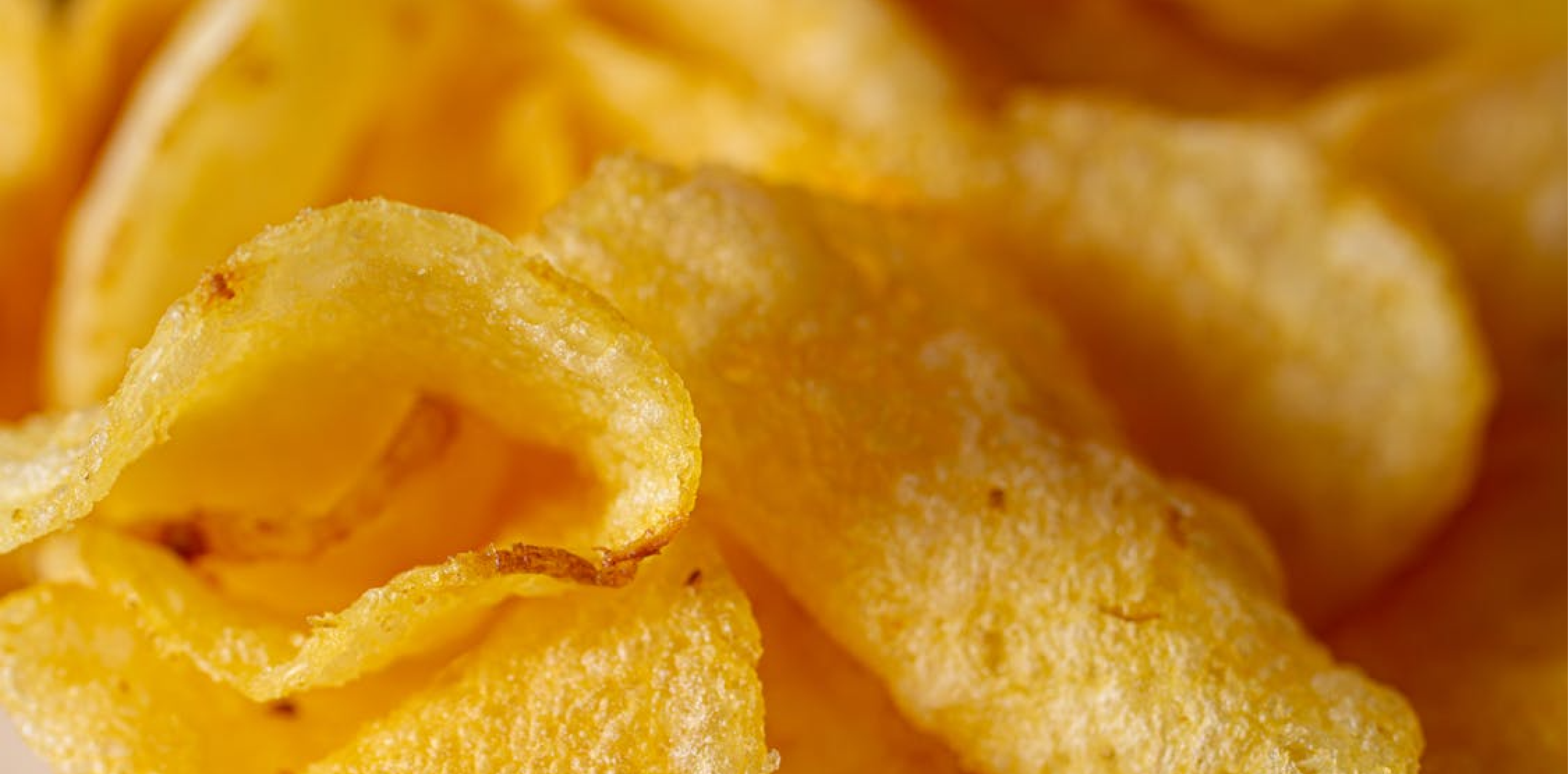 Crisp Festival | 2026