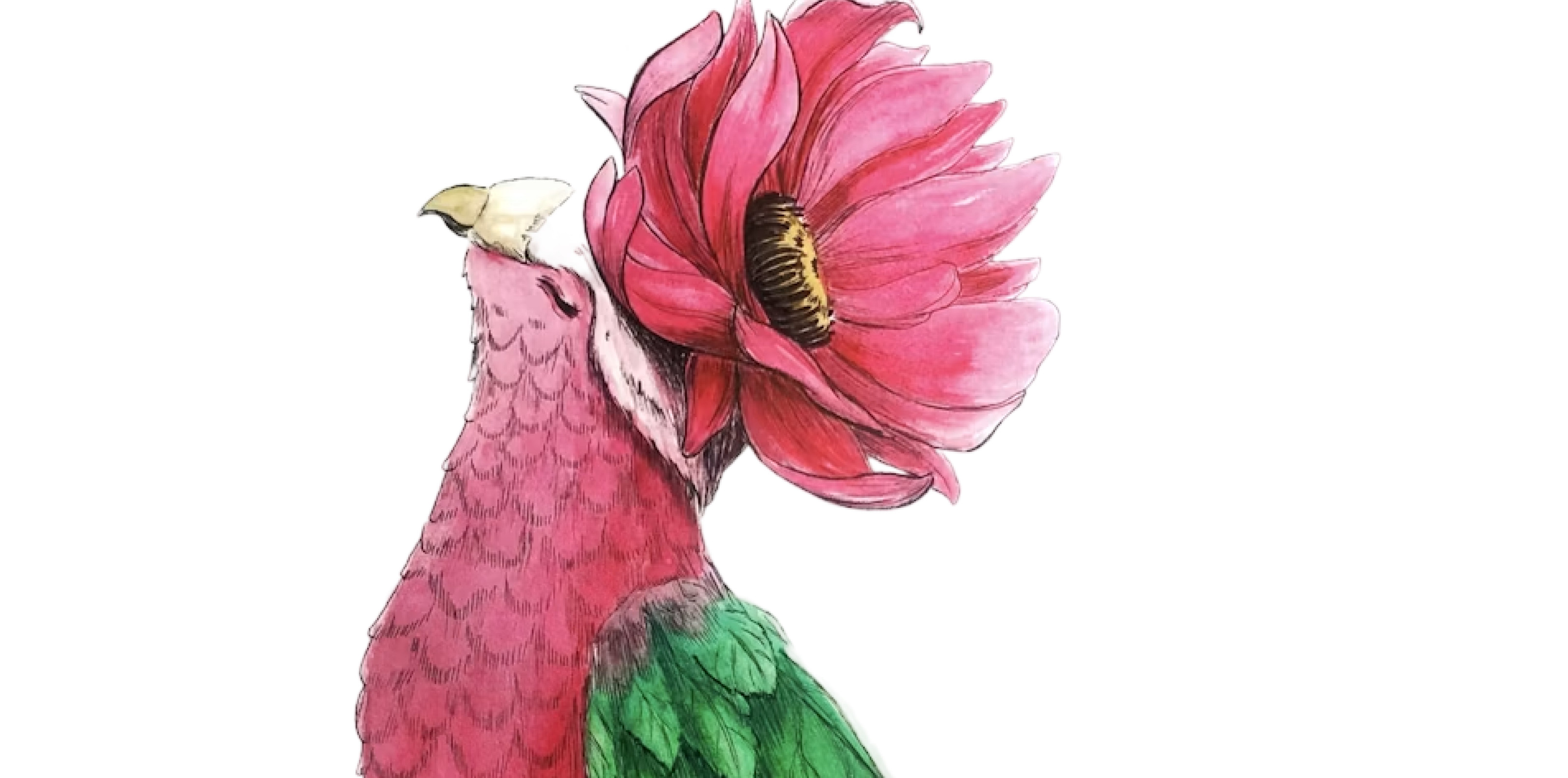Watercolour Birds Workshop