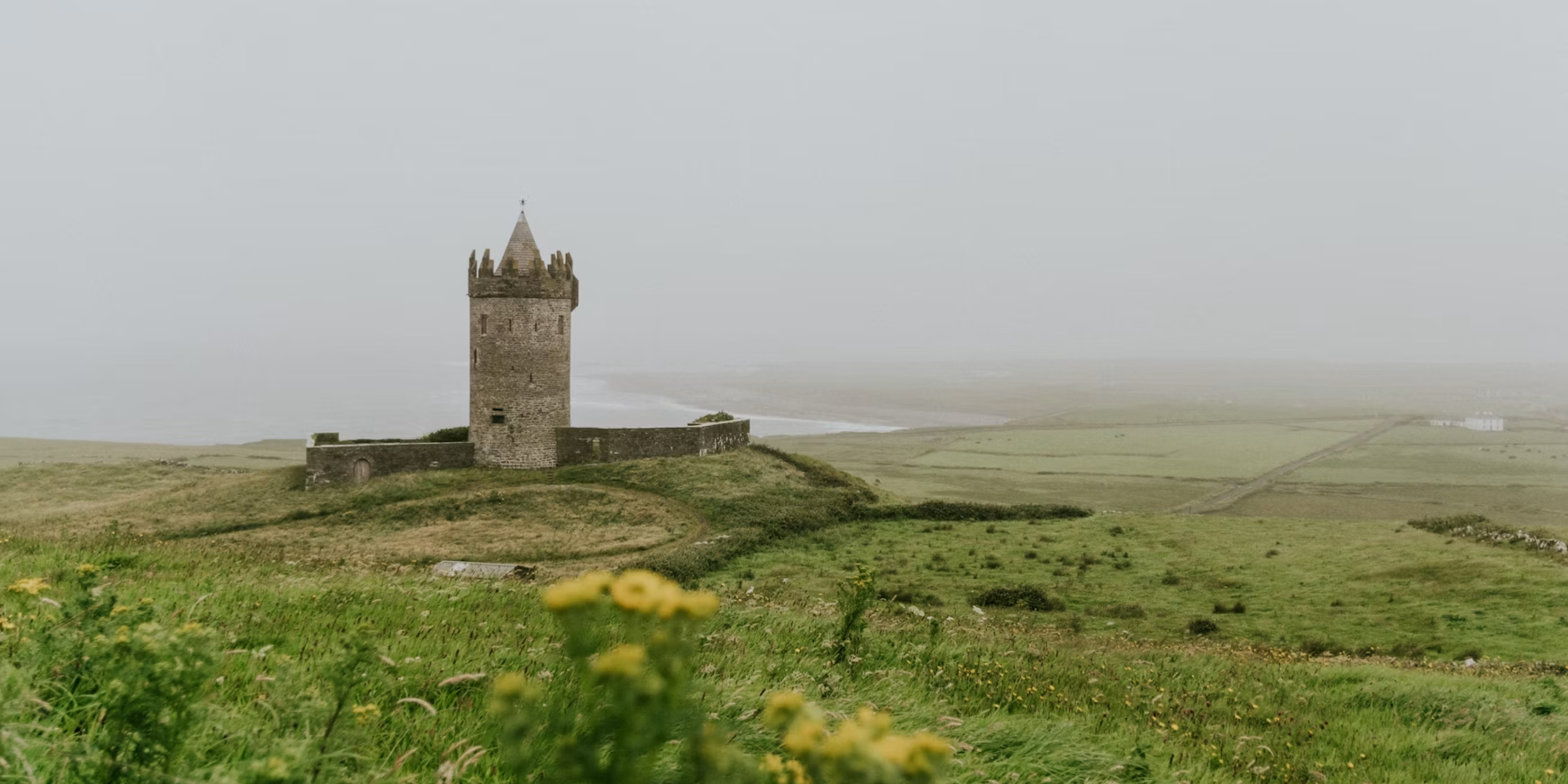 Cruinniú na nÓg Tours | National Museum of Ireland