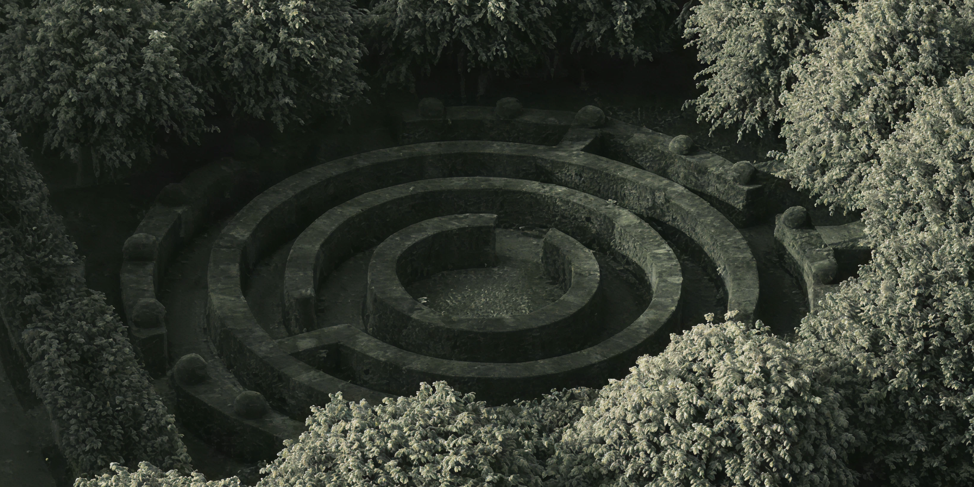 The Youthful Labyrinth of Experience