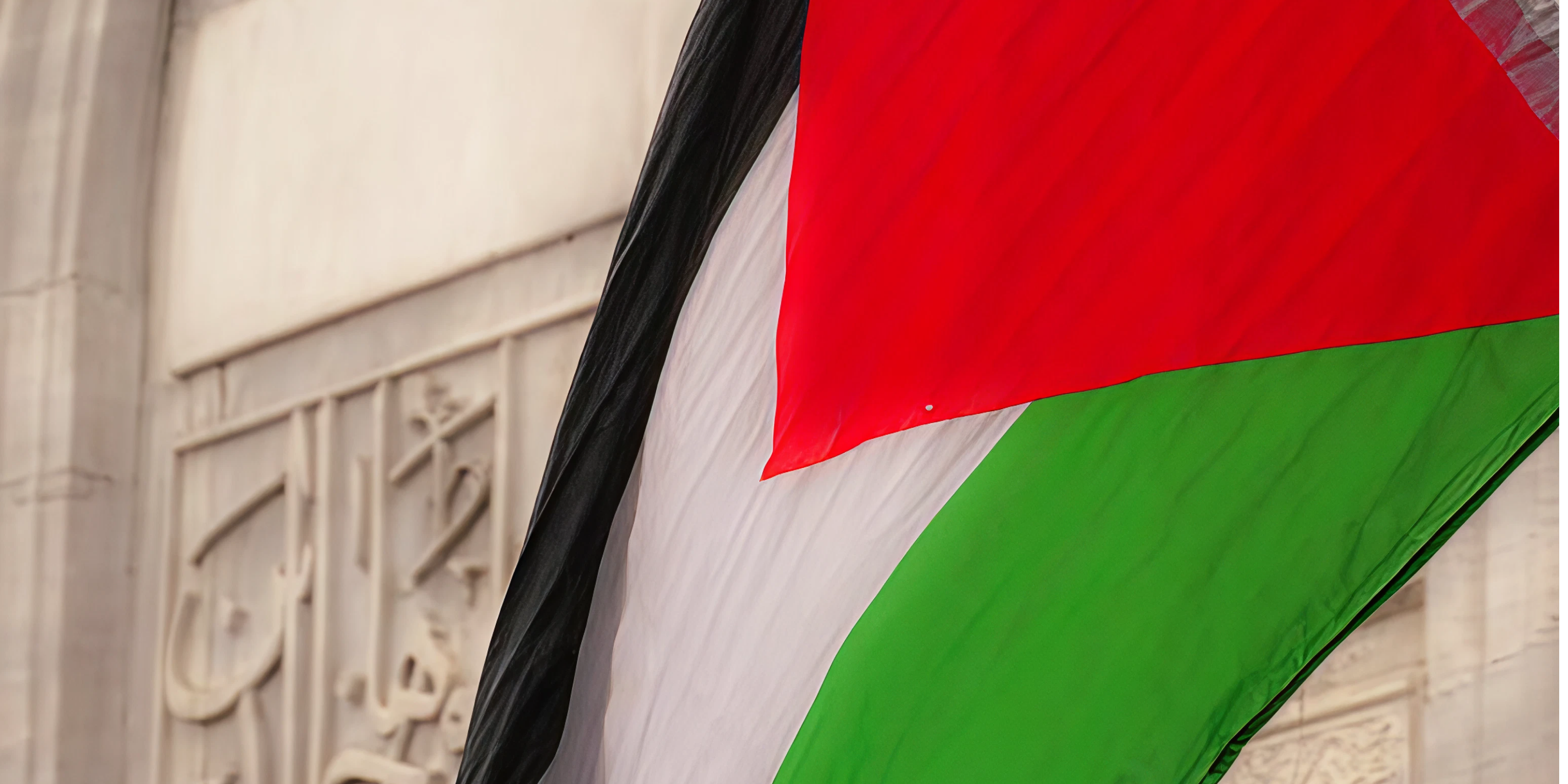 Run For Palestine | Sunday Run