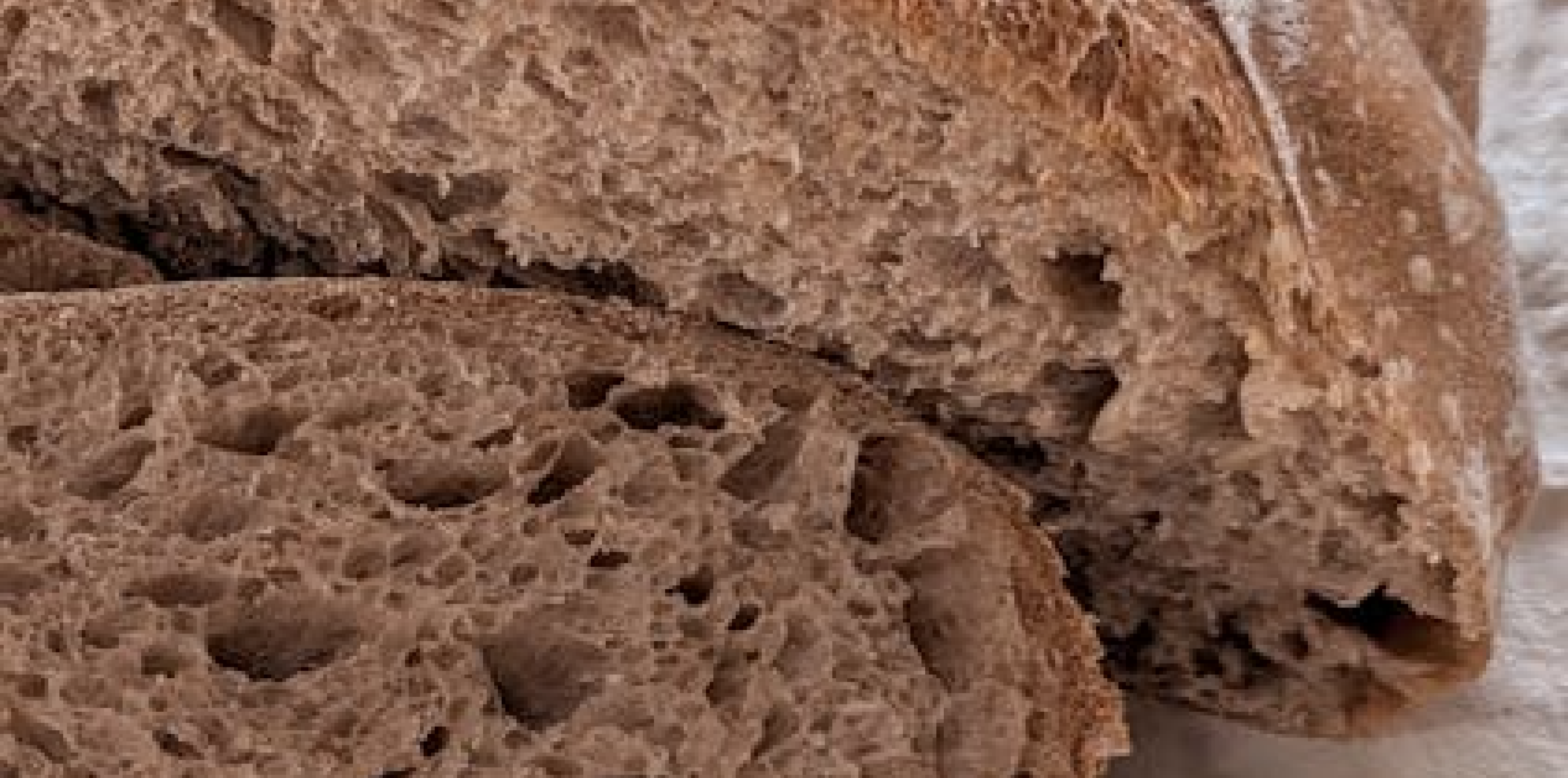 Sourdough Workshop