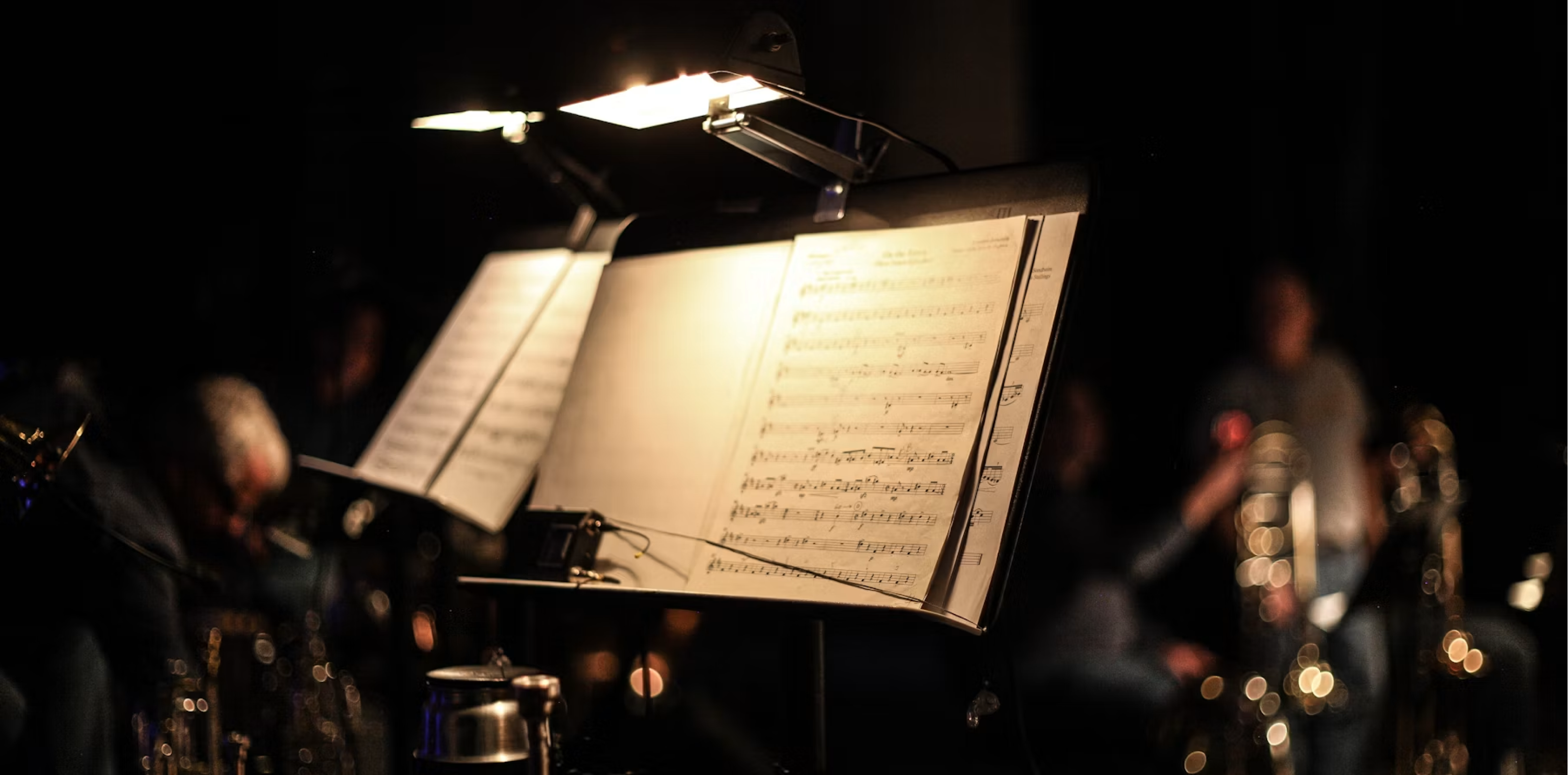 National Youth Orchestra of Ireland | Summer Proms