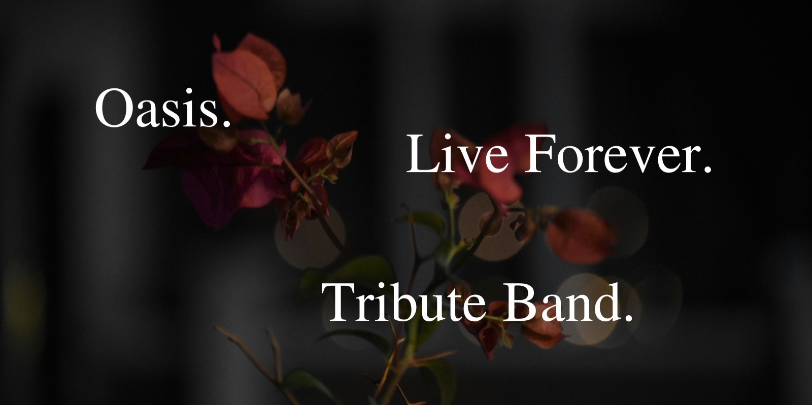 Oasis Live Forever Tribute at The Old Mill