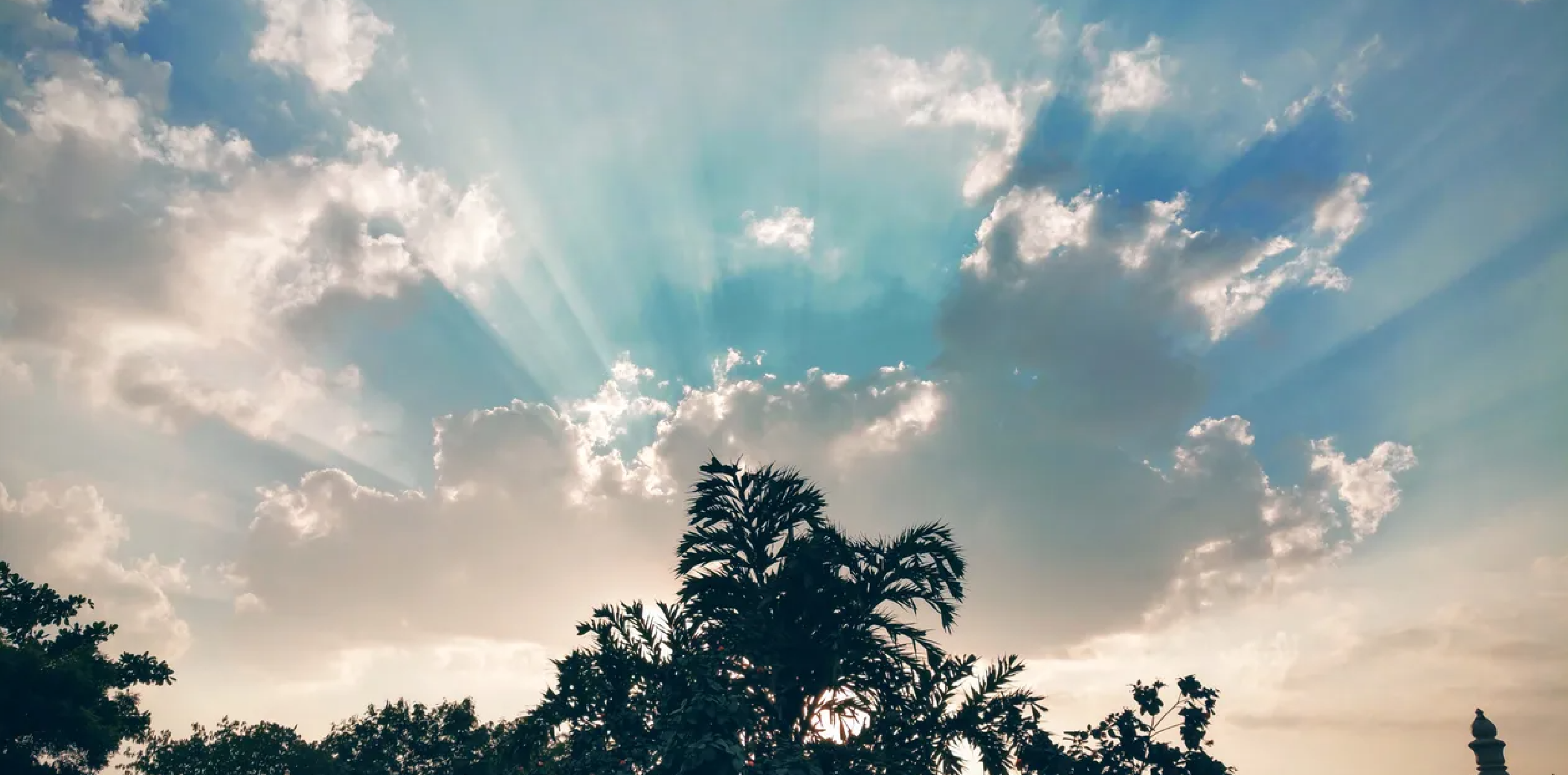 Epiphany