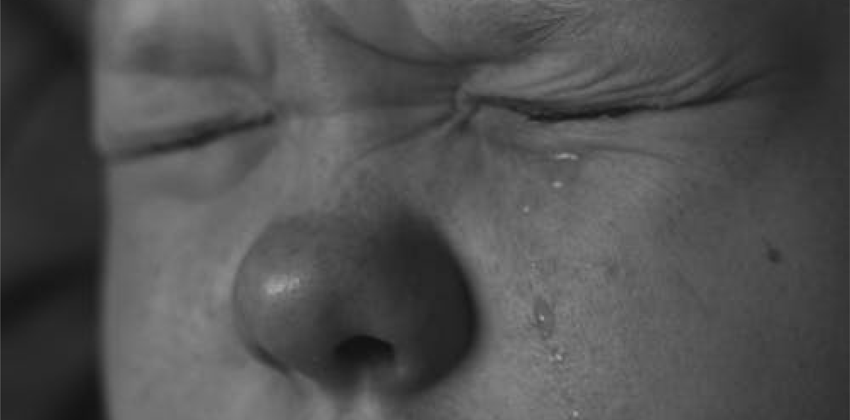 Crying Loser