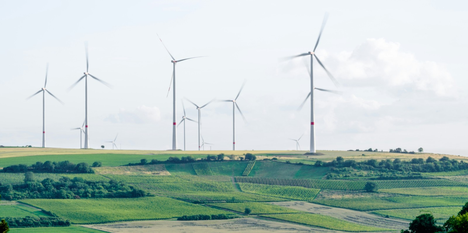 The Climate Heist