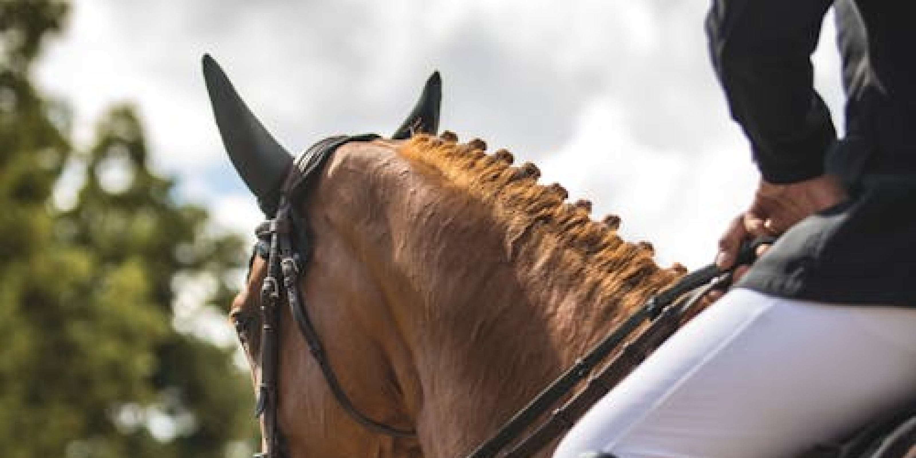 Dublin Horse Show 2026