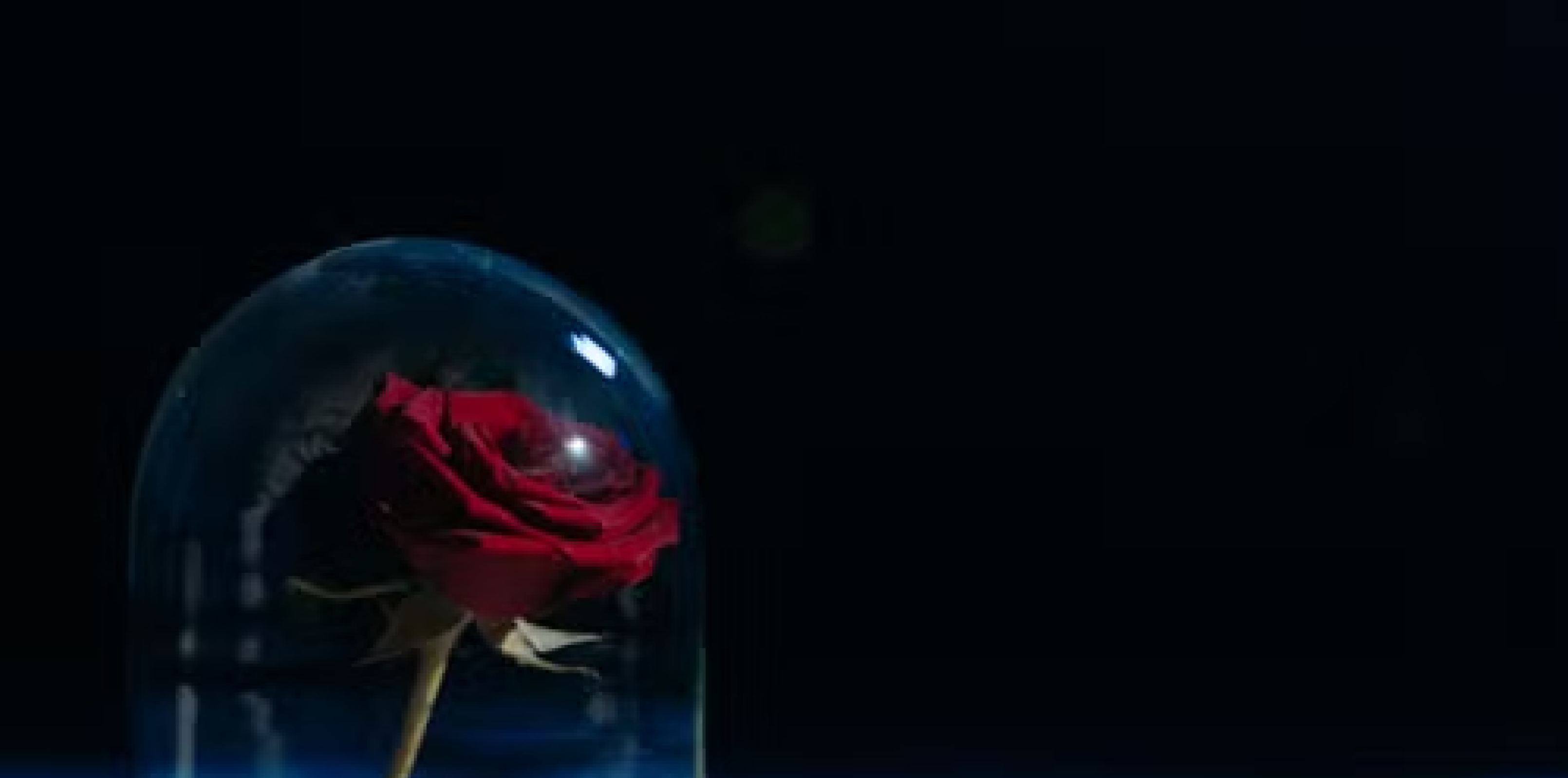 Tale as Old as Time | Clare Connolly Dance