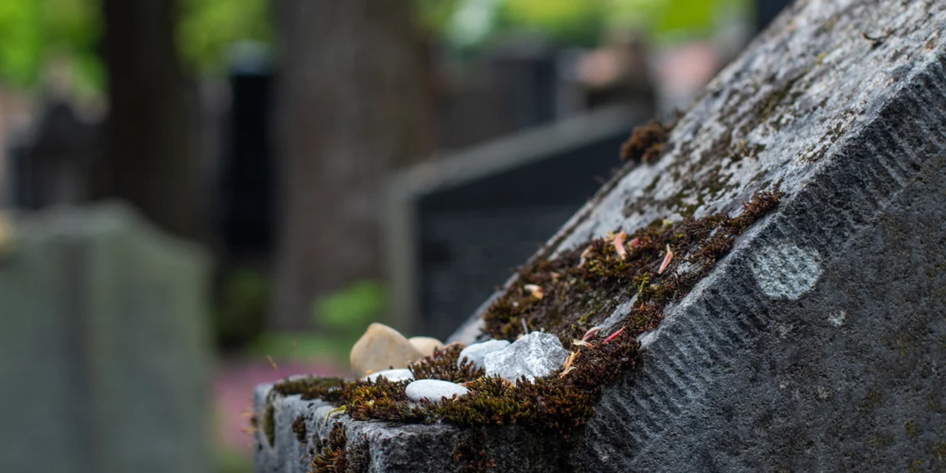 Goldenbridge Cemetery Tour | All ages