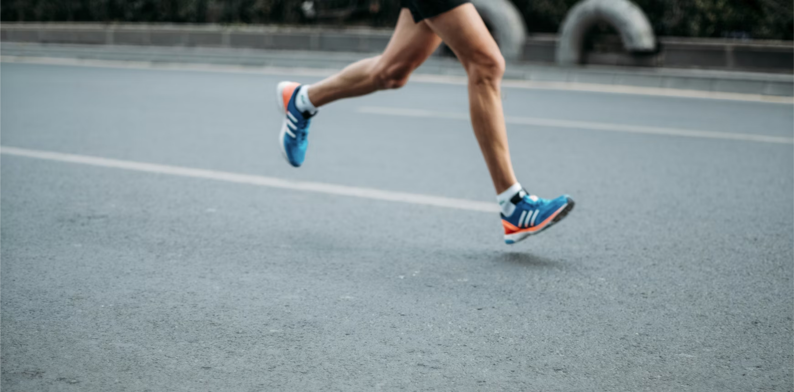 Run For Wildlife