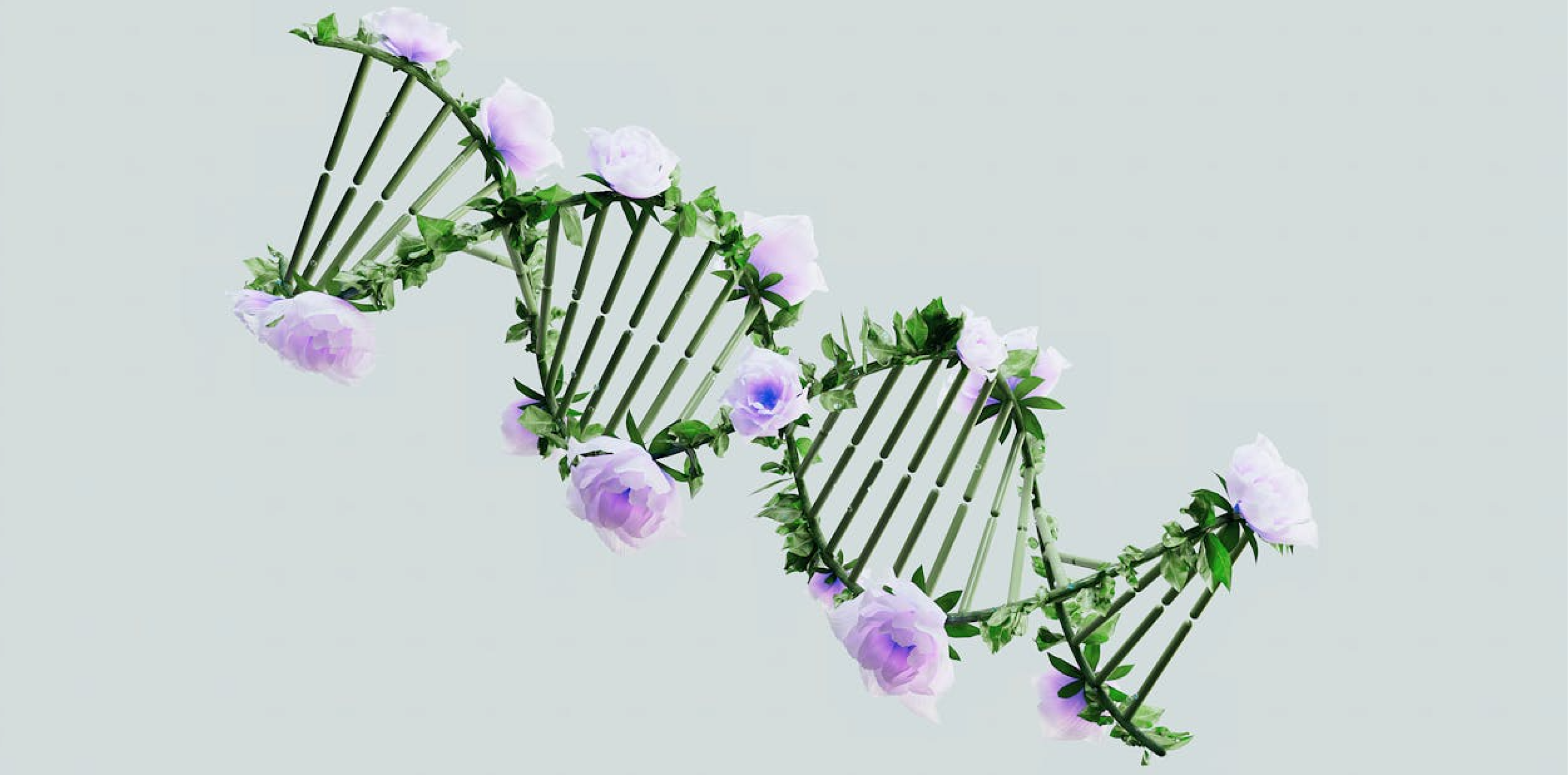 Discover Your Roots: An Introduction to Family History Research