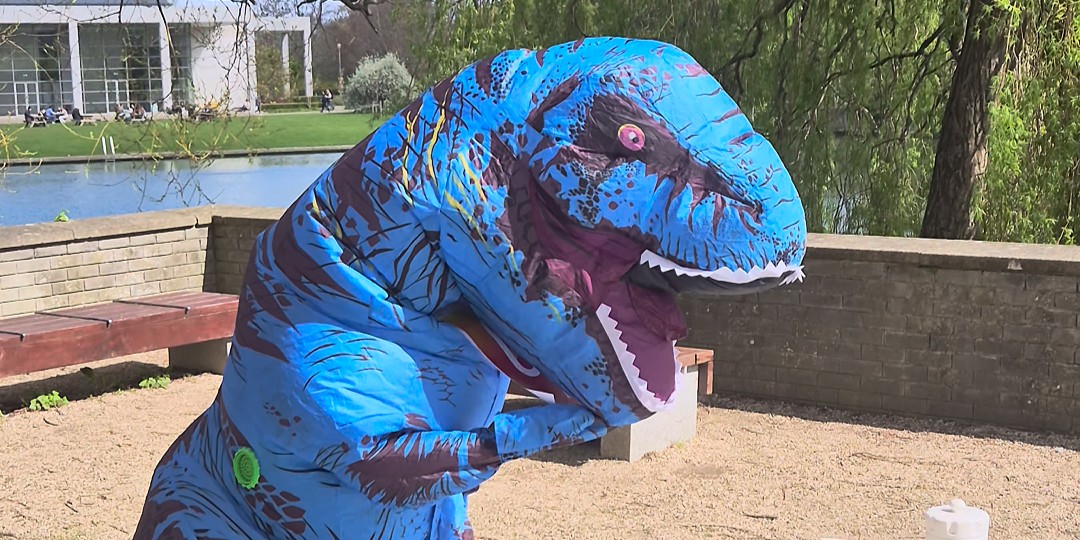Dino Spotted in UCD