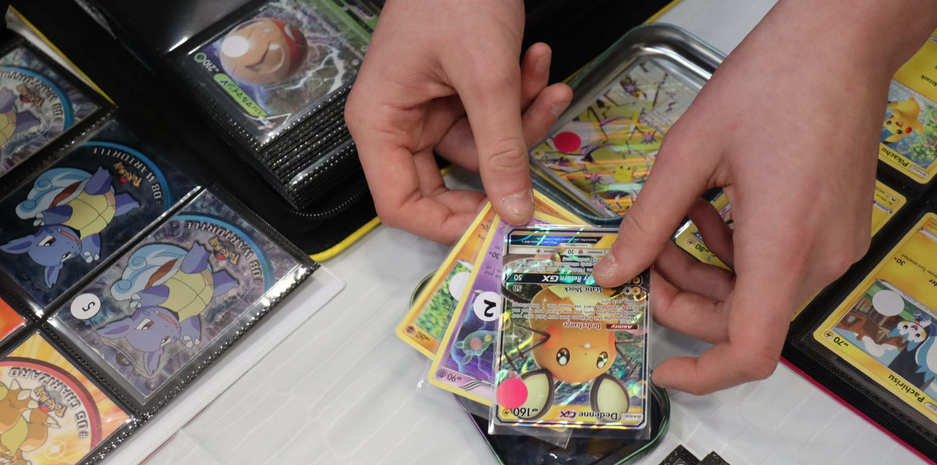 Mega Pokémon Pop-Up