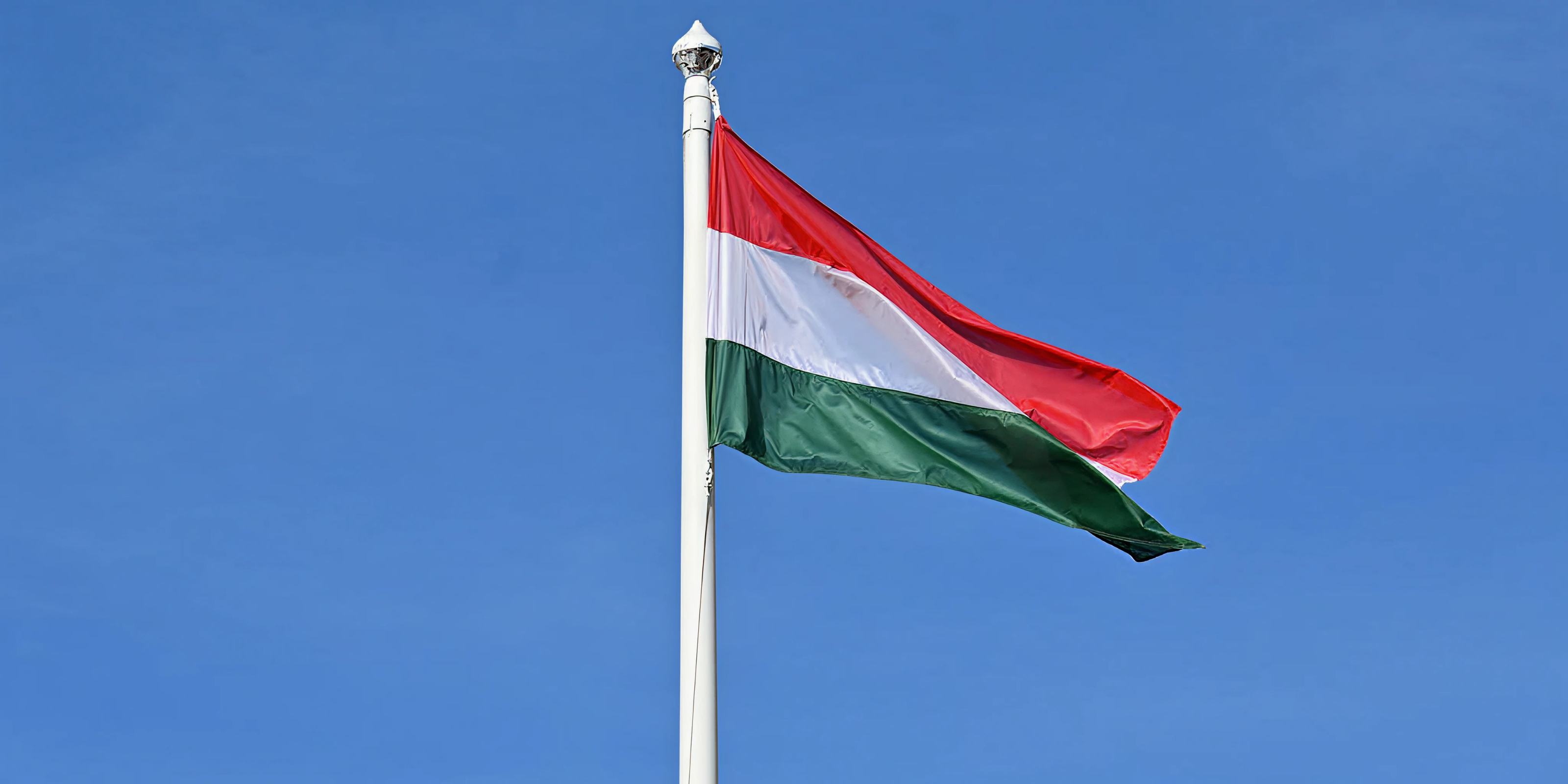 Magyar Party 20. Szülinapi Buli | Dublini