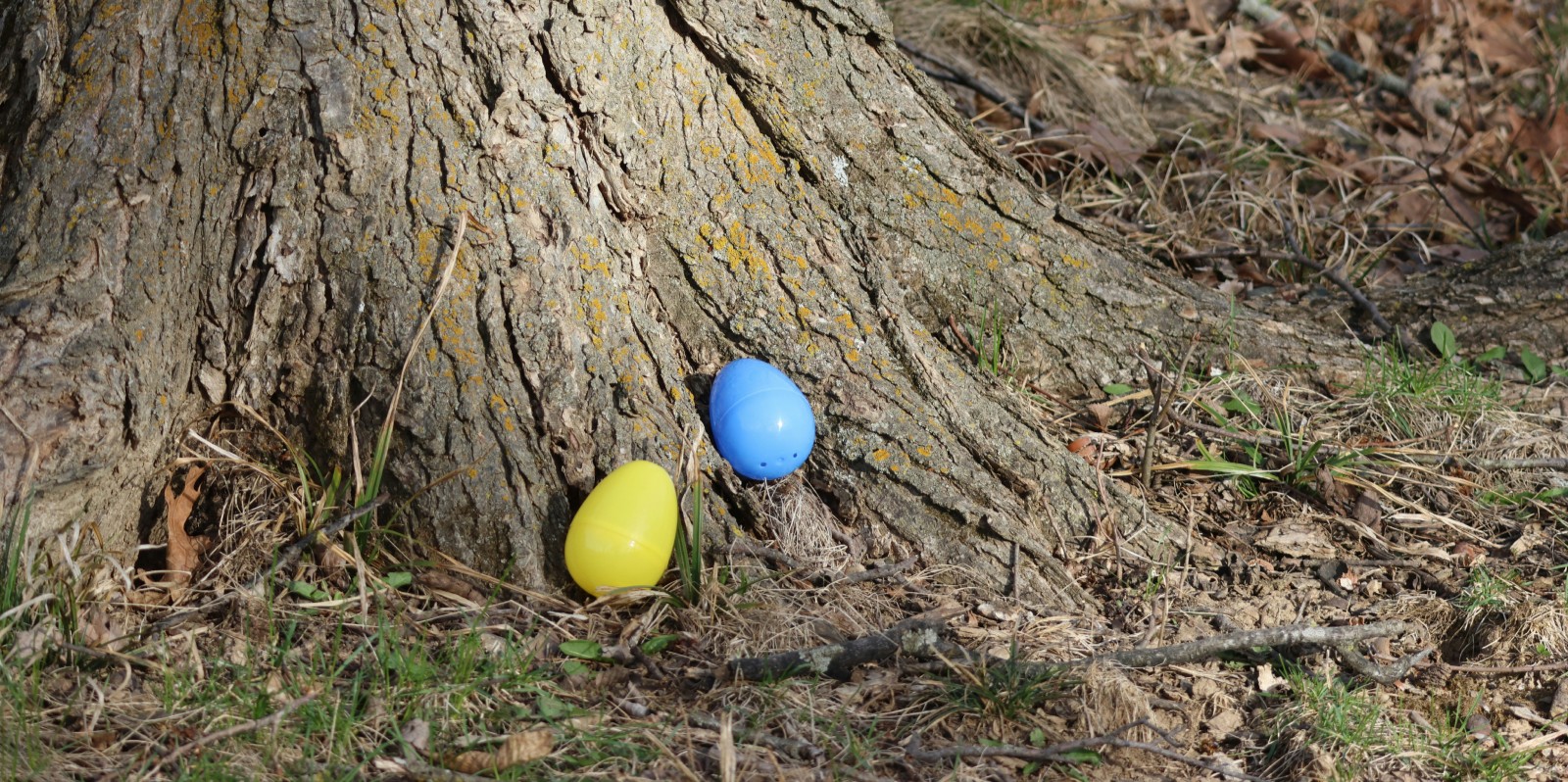 Easter at Luggwoods Enchanted Forest
