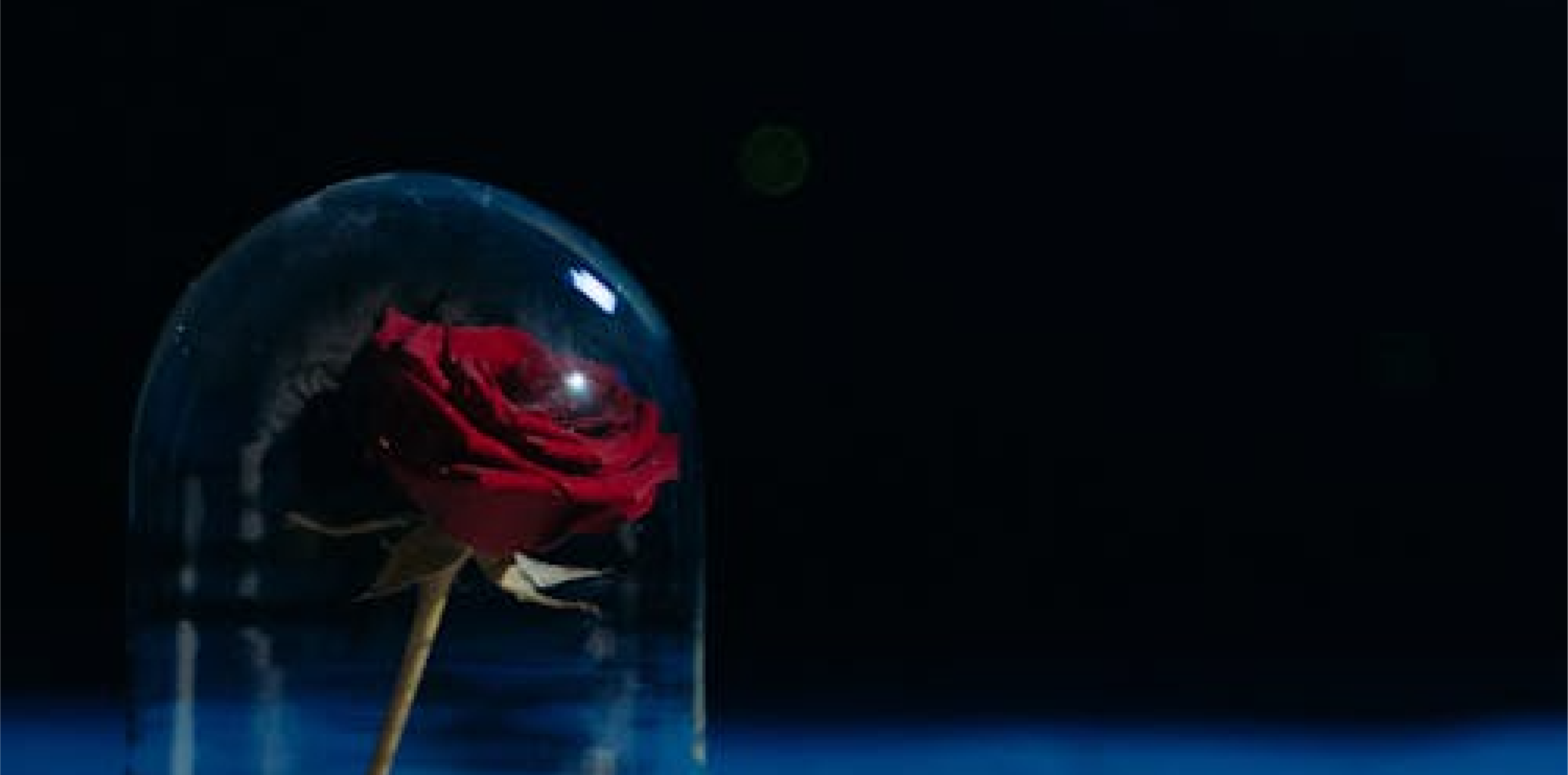 Beauty and the Beast | Arclight